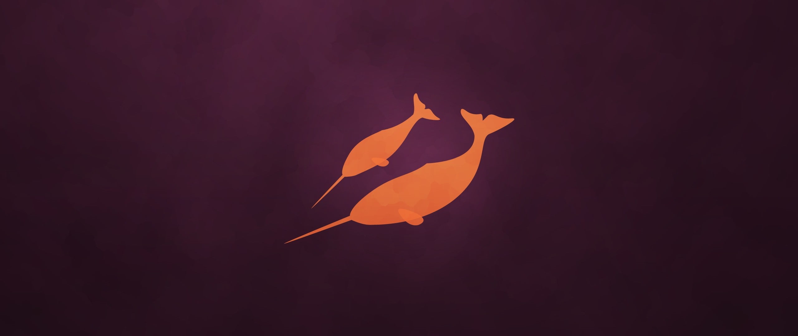 2K, narwhals, simple, HD Wallpaper