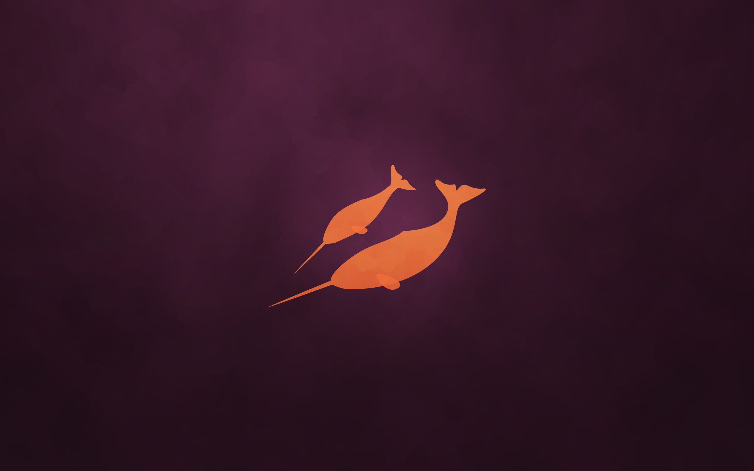 2K, narwhal, natty, ubuntu, HD Wallpaper