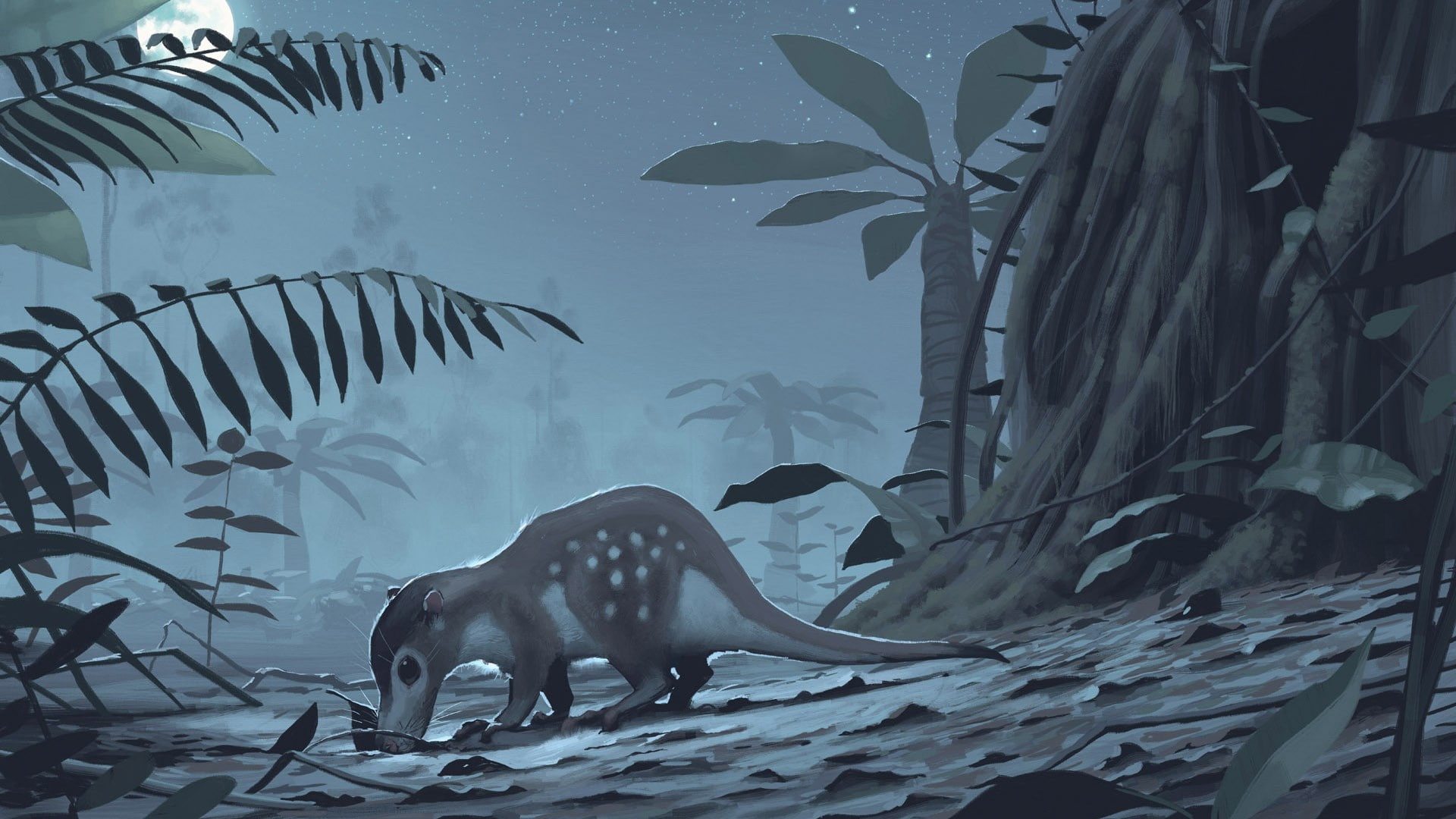 sea, underwater, 1080P, large group of animals, swimming, dinosaurs, Simon Stålenhag, group of animals, animals in captivity, water, fish, aquarium, undersea, HD Wallpaper