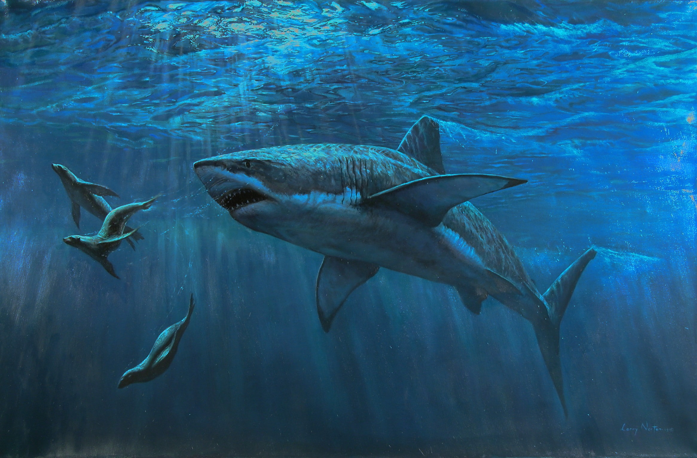school of fish, no people, turquoise colored, swimming, mammal, shark, Larry Norton, sea, underwater, aquatic mammal, marine, nature, animal themes, group of animals, HD Wallpaper