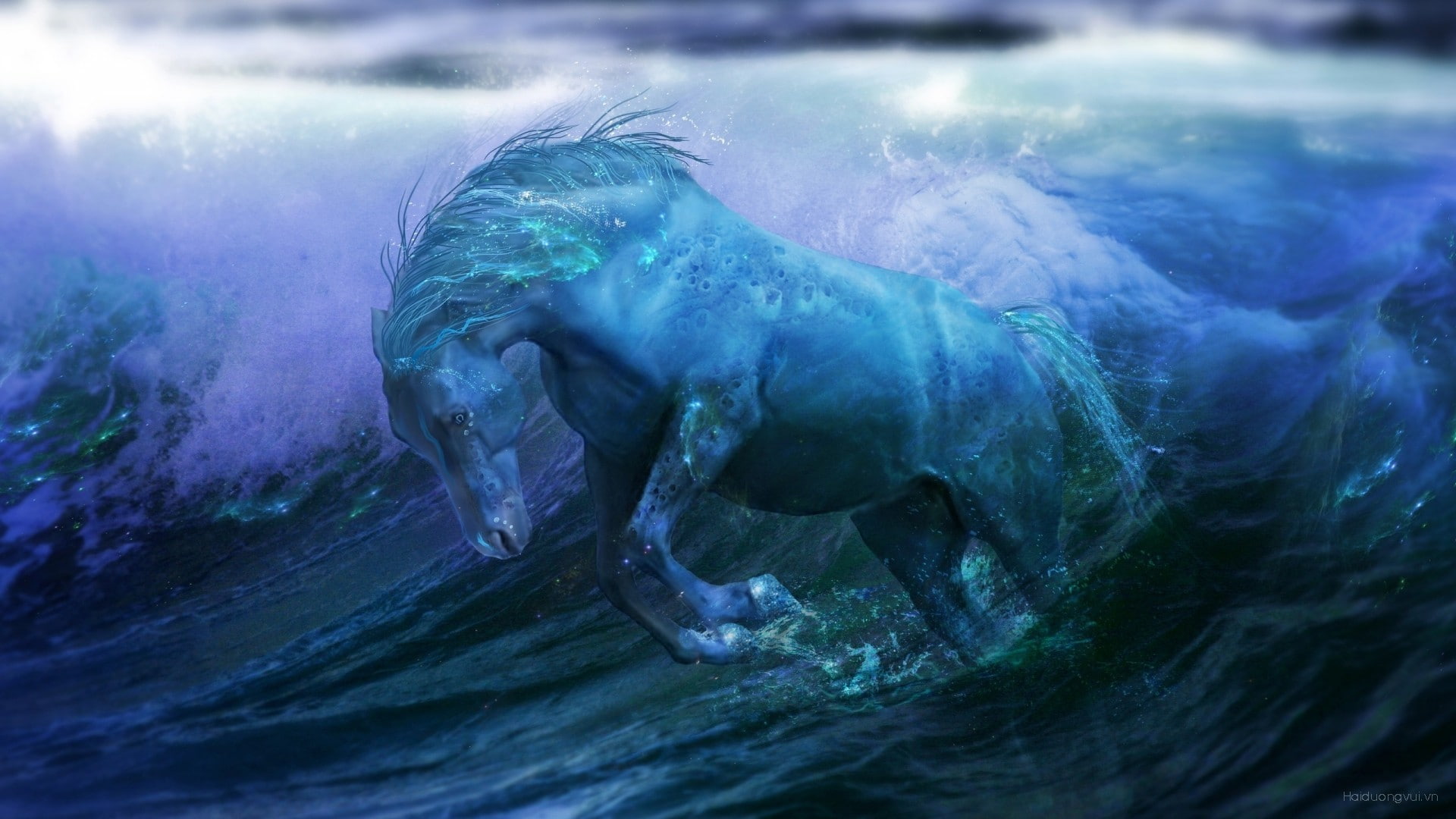 undersea, animal themes, no people, swimming, vertebrate, aquatic mammal, one animal, animal wildlife, mammal, nature, horse, marine, day, animals in the wild, HD Wallpaper