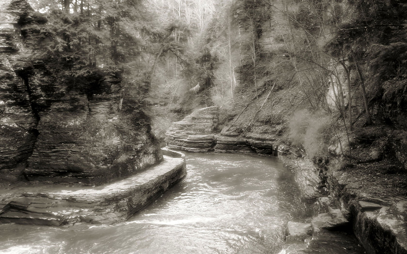 beauty in nature, land, forest, flowing, monochrome, day, flowing water, no people, sepia, rock, waterfront, landscape, scenics - nature, trees, non-urban scene, HD Wallpaper