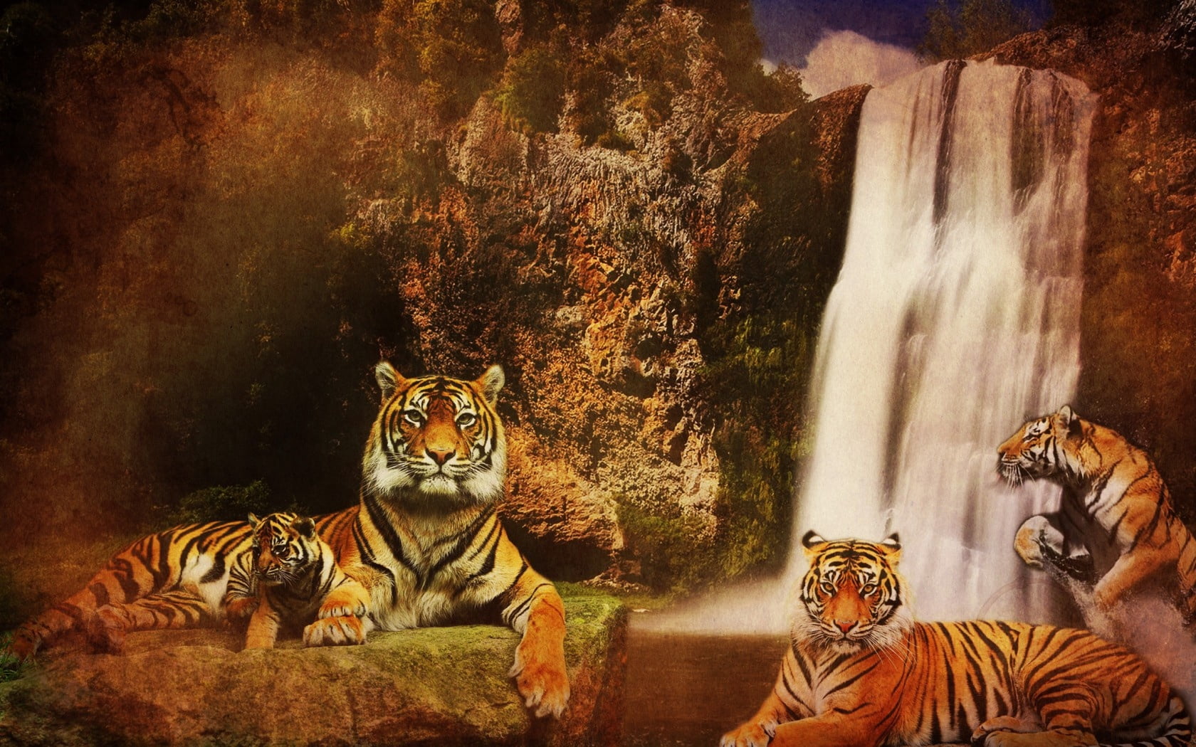 rocks, undomesticated Cat, day, digital, mammal, endangered Species, tigers, waterfalls, animal wildlife, big Cat, fur, zoo, whisker, animal themes, background, HD Wallpaper