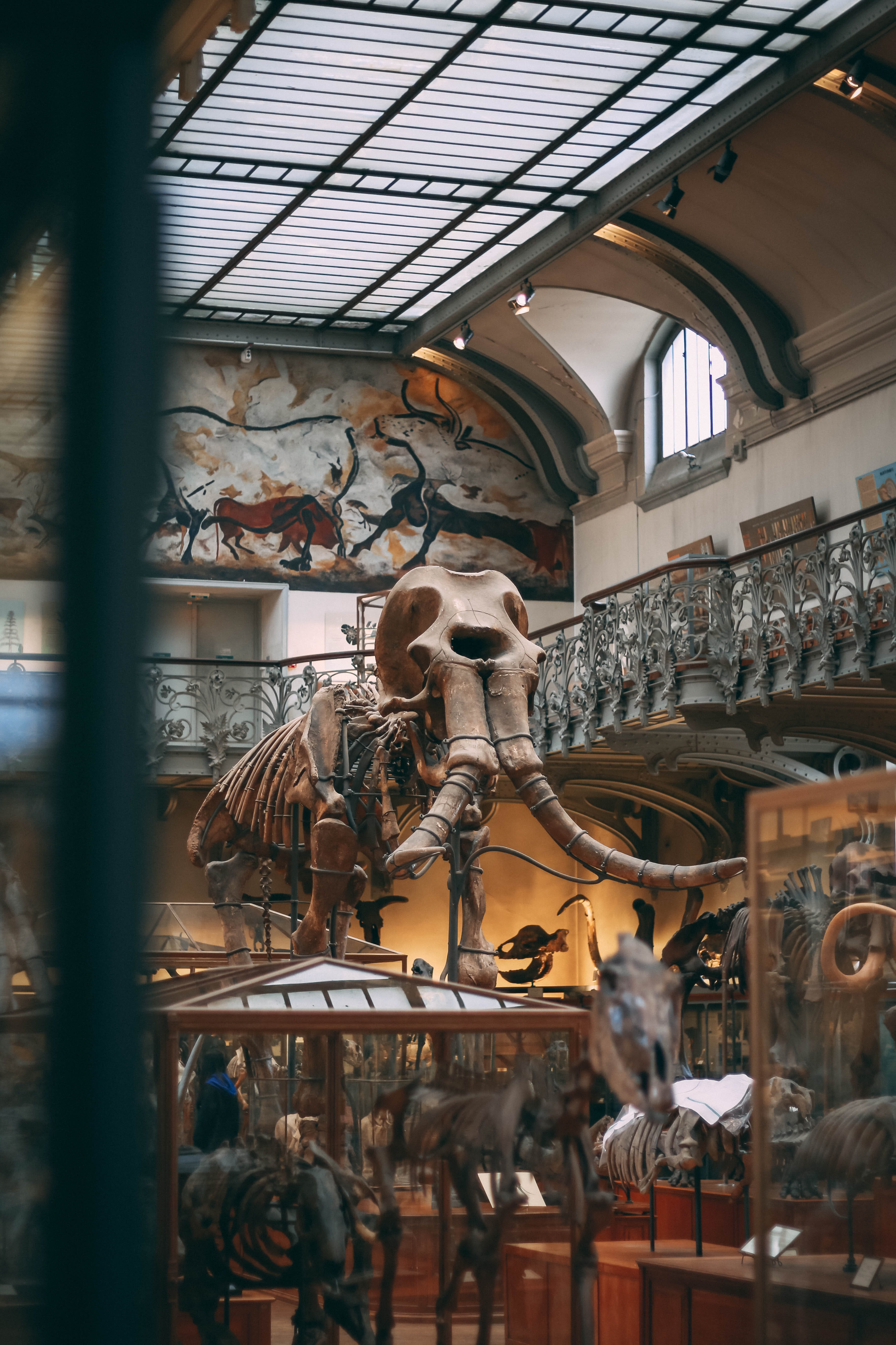 5K, bone, store, retail, built structure, indoors, prehistoric, for sale, no people, animal representation, business, skeleton, animal, large group of objects, Phone HD Wallpaper