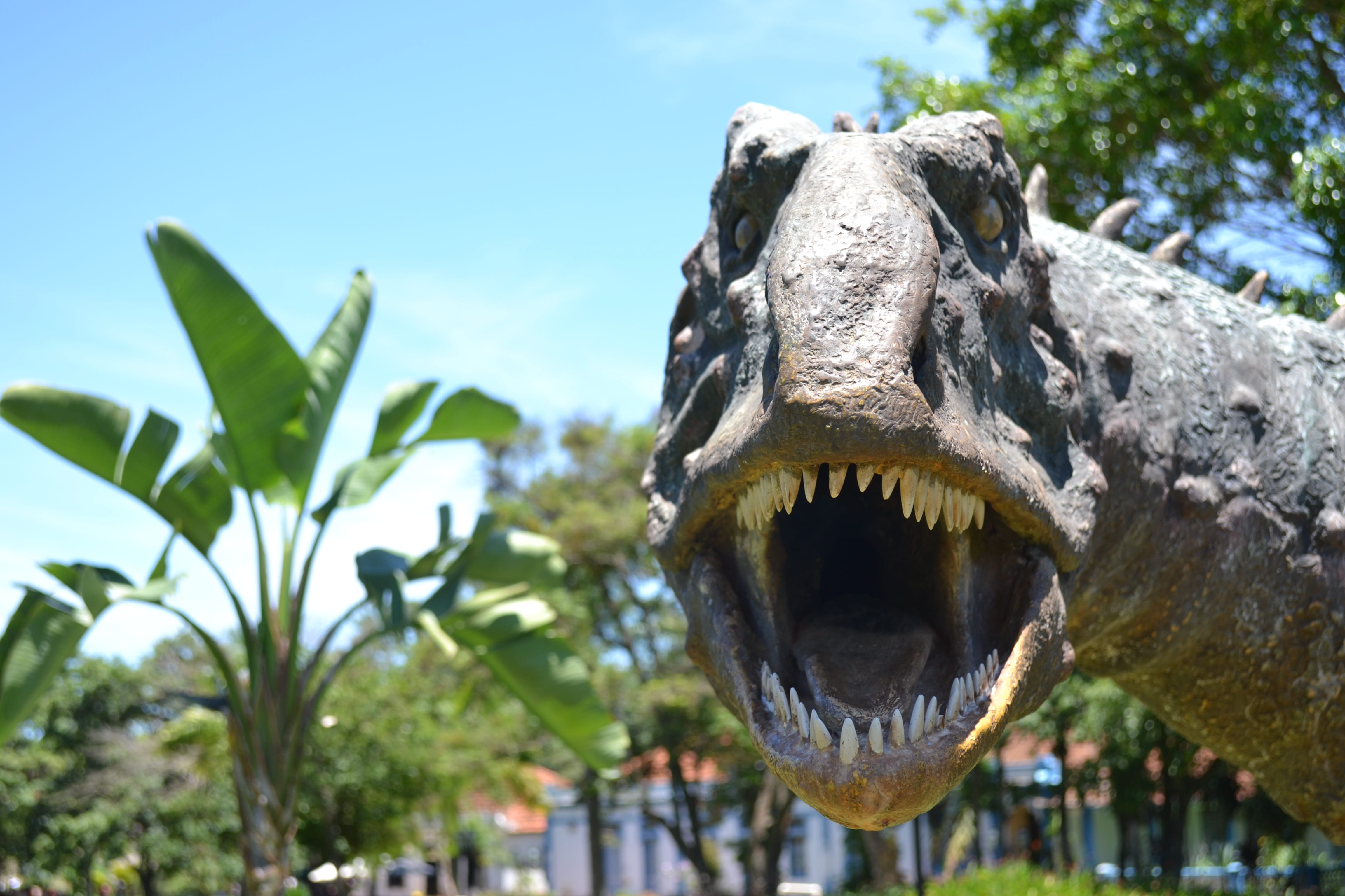 sky, animal body part, one animal, architecture, alligator, paleontology, animal teeth, animal representation, tree, animal wildlife, reptile, sculpture, HD Wallpaper