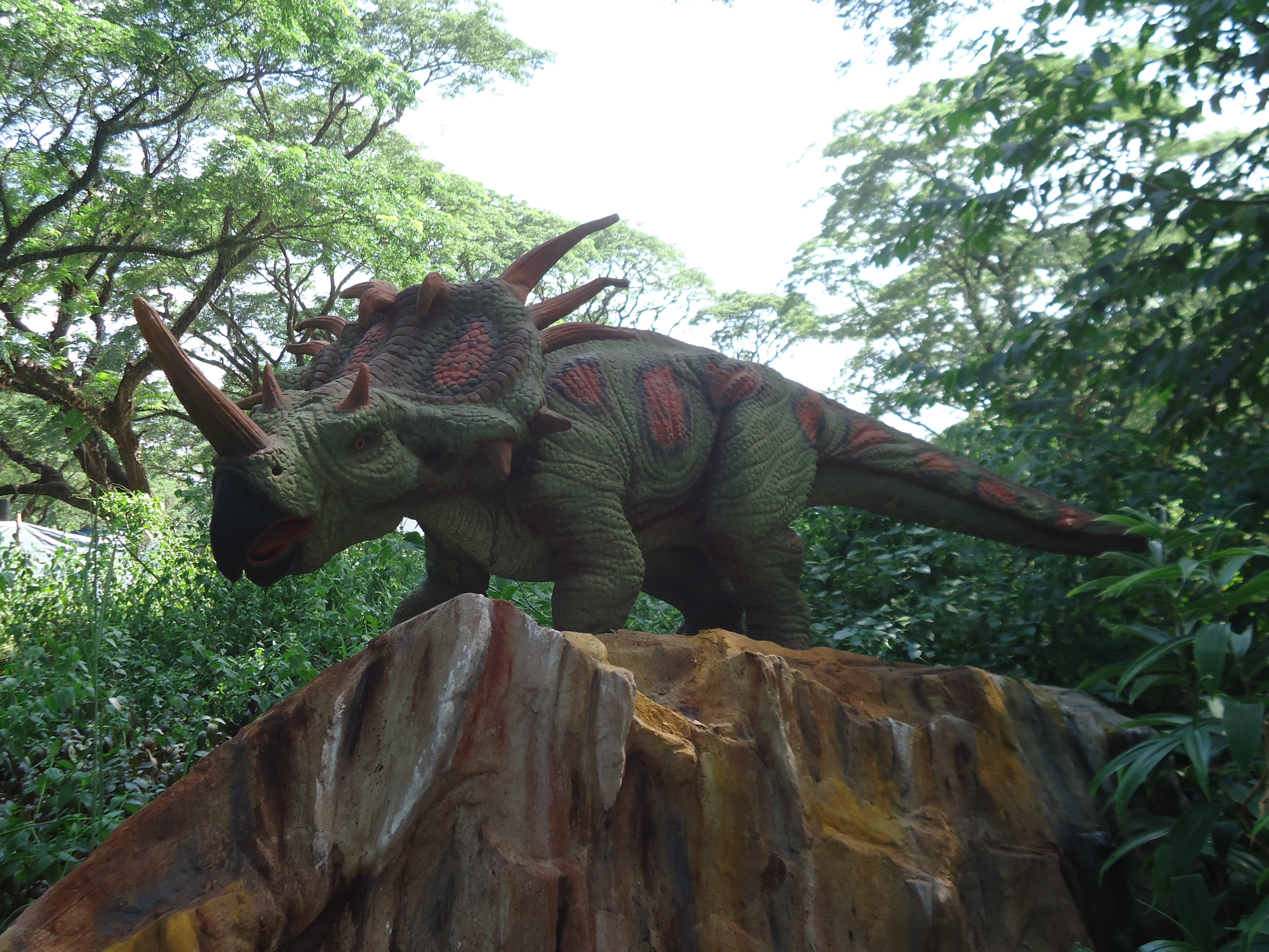 art and craft, 4K, vertebrate, animal representation, nature, exposition, one animal, animal themes, plant, day, park, triceratops, jurassic, green color, HD Wallpaper