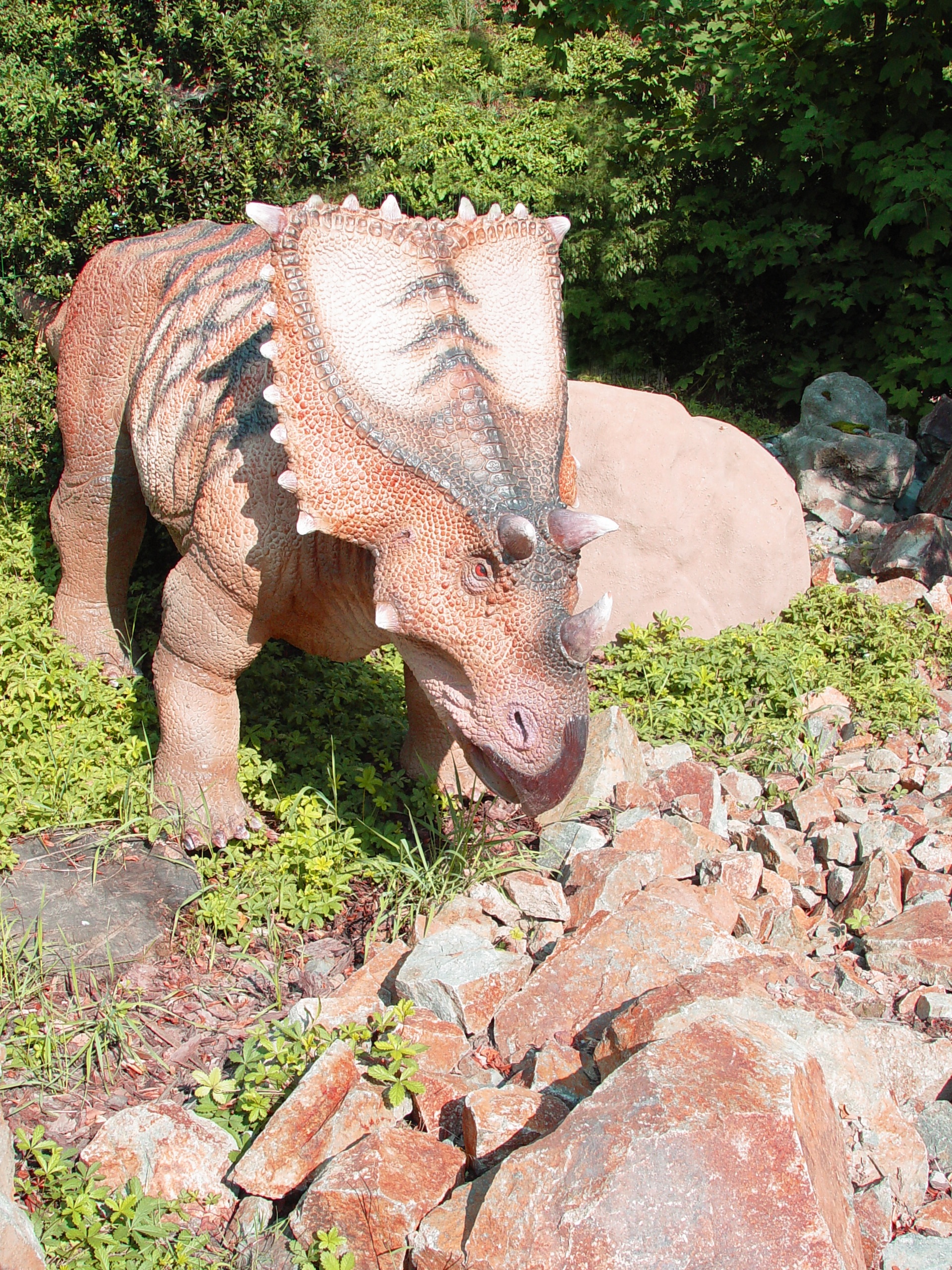 dino, sunlight, dinosaur, plant, day, rock - object, herbivorous, growth, field, mammal, triceratops, outdoors, standing, nature, animal, animals in the wild, Phone HD Wallpaper