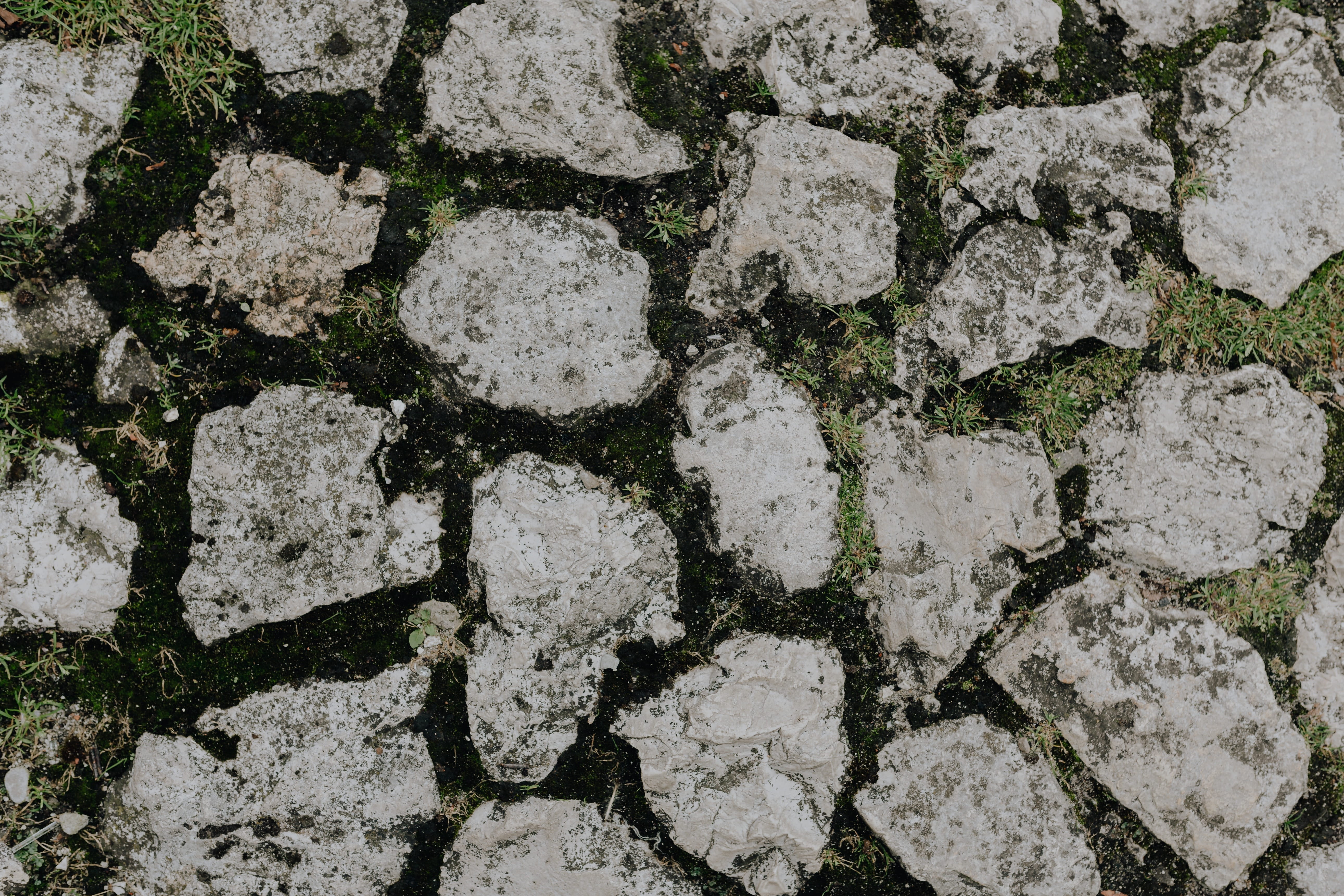 weathered, close-up, solid, day, cement, paving stone, pattern, stone, pavement, textured, architecture, brick, stone material, built structure, 5K, concrete, HD Wallpaper
