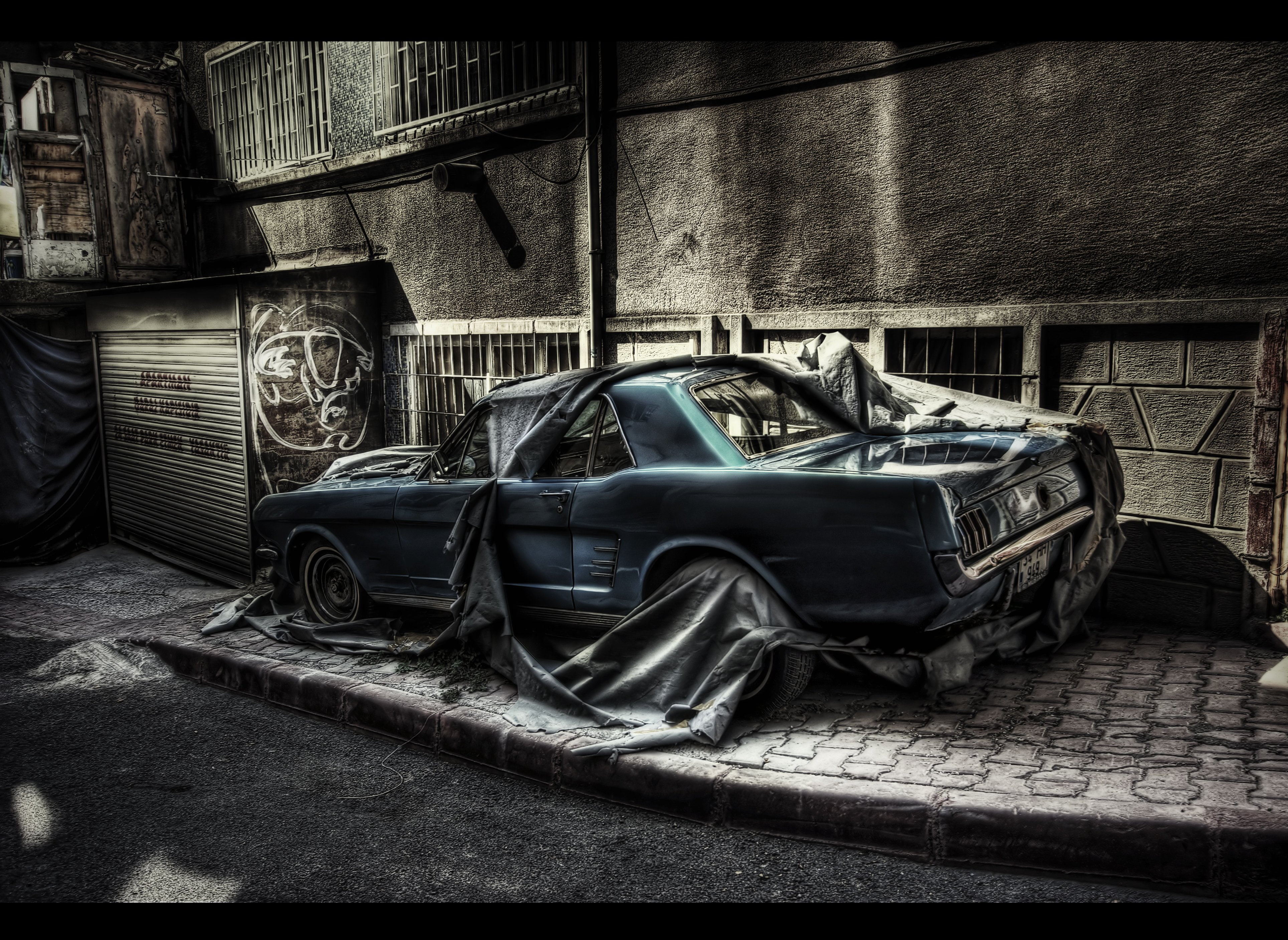 mustang, hdr, sally, die, musnt, 4K, HD Wallpaper