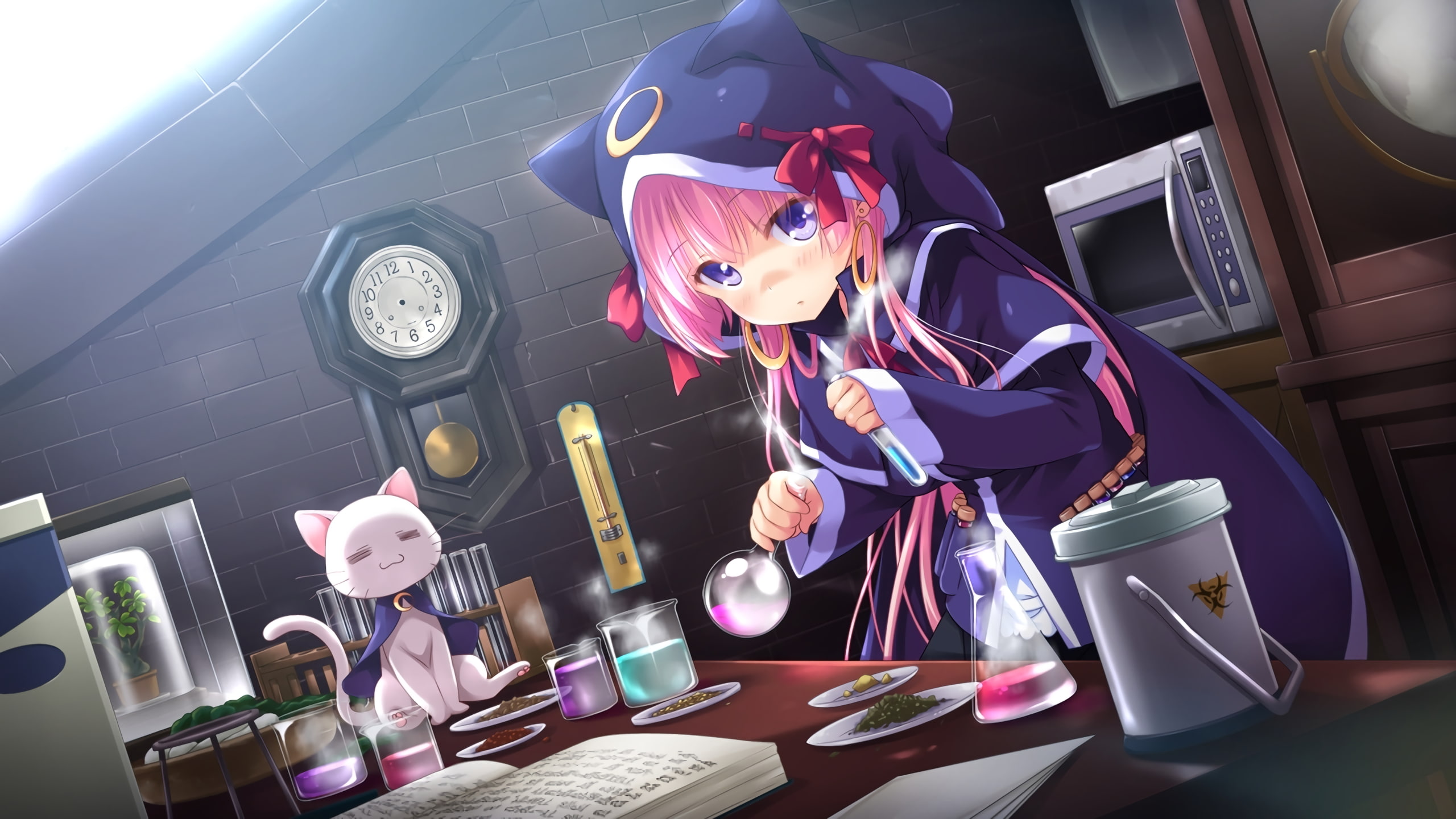 anime girls, cat girl, 2K, HHG Megami no Shuuen, hoods, Sally Kirimiya, HD Wallpaper
