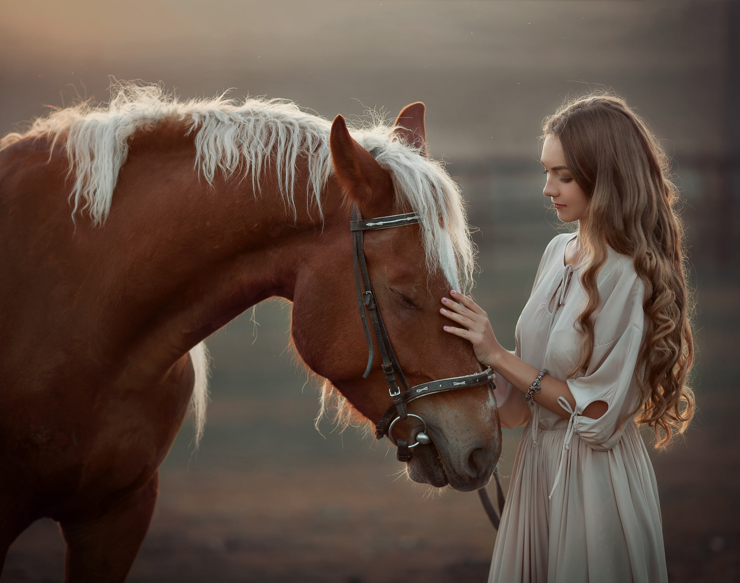 stroking, horse, 1080P, happy, girl, HD Wallpaper