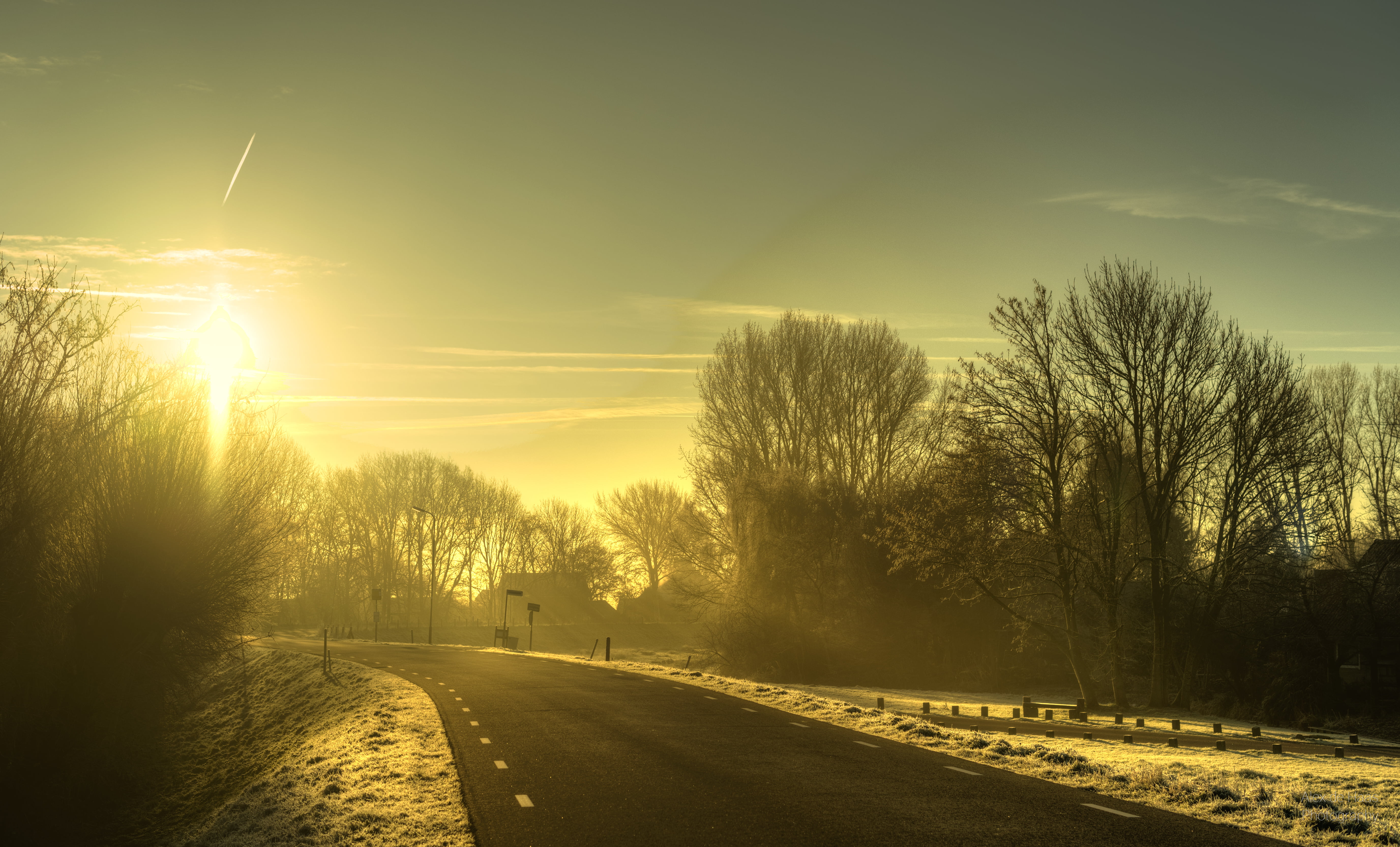tree, hand-held, Noord-Holland, sunlight, trees, HDR, hour, Netherlands, Nikkor, high dynamic range, Warmenhuizen, sunny, photography, forest, golden hour, HD Wallpaper