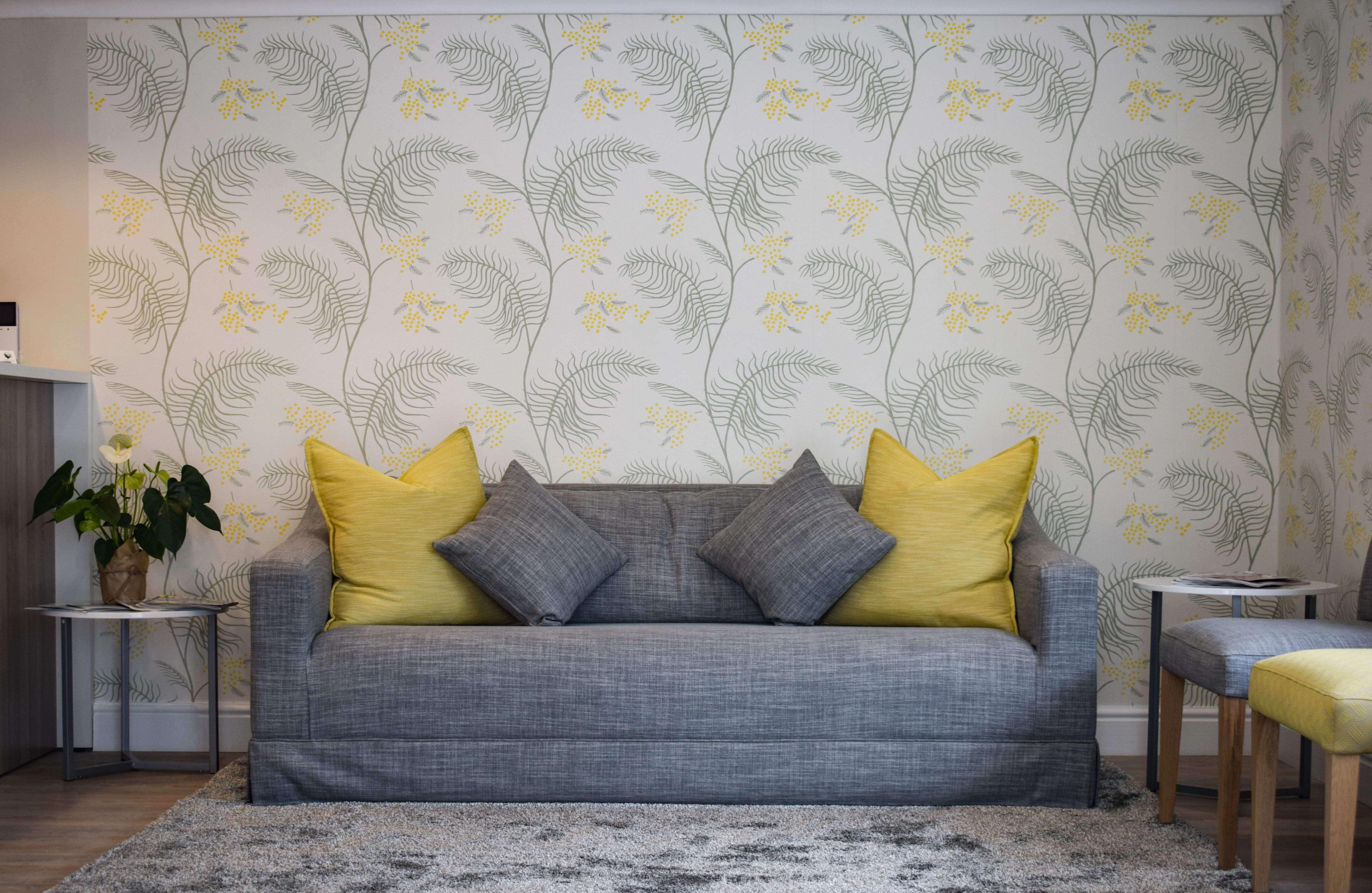 pattern, wall - building feature, domestic room, texture, colorful, living room, flooring, cape town, plant, chair, no people, cushion, house, bergvliet family practice, HD Wallpaper