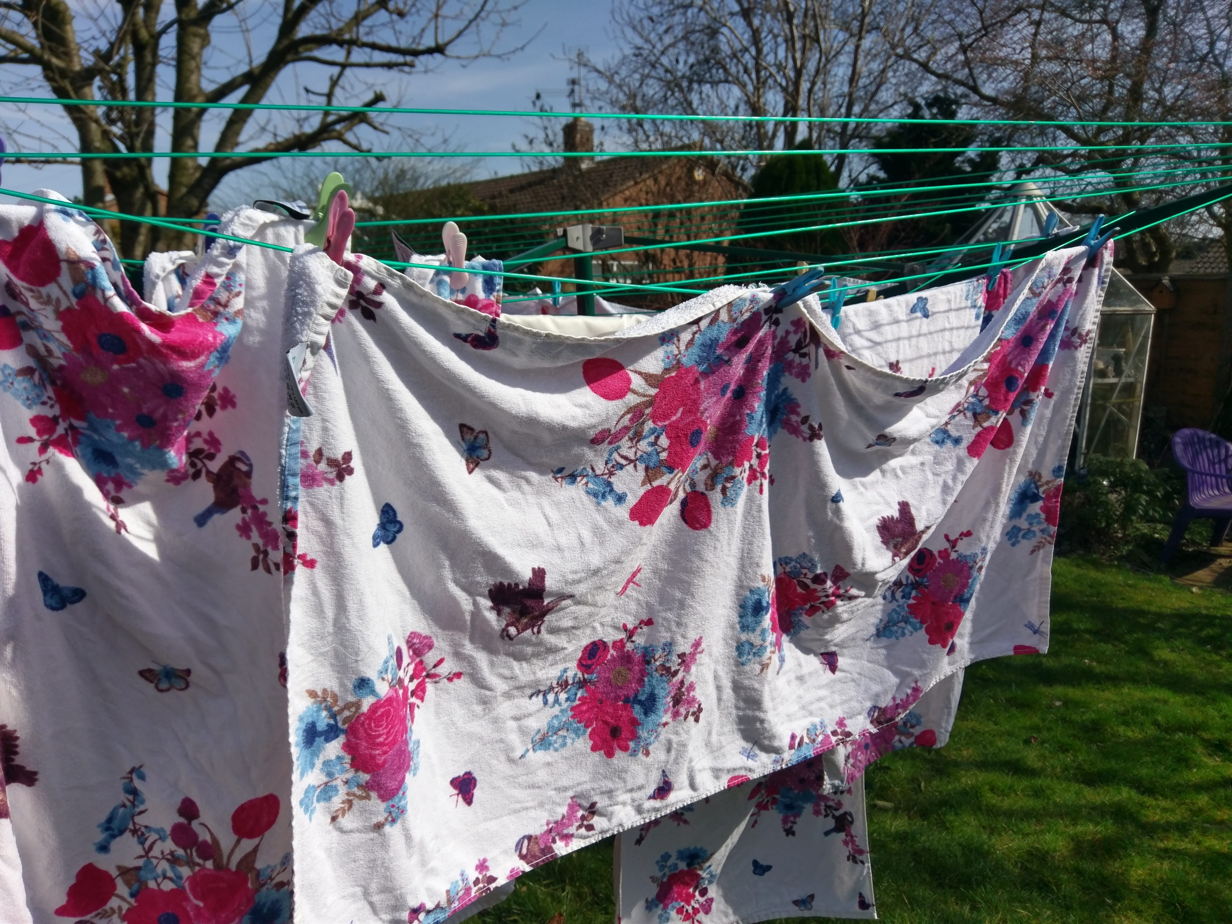 front or back yard, washing line, multi colored, washing, summer, outdoors, nature, tree, drying, towels, hanging, group of objects, floral pattern, clothespin, HD Wallpaper