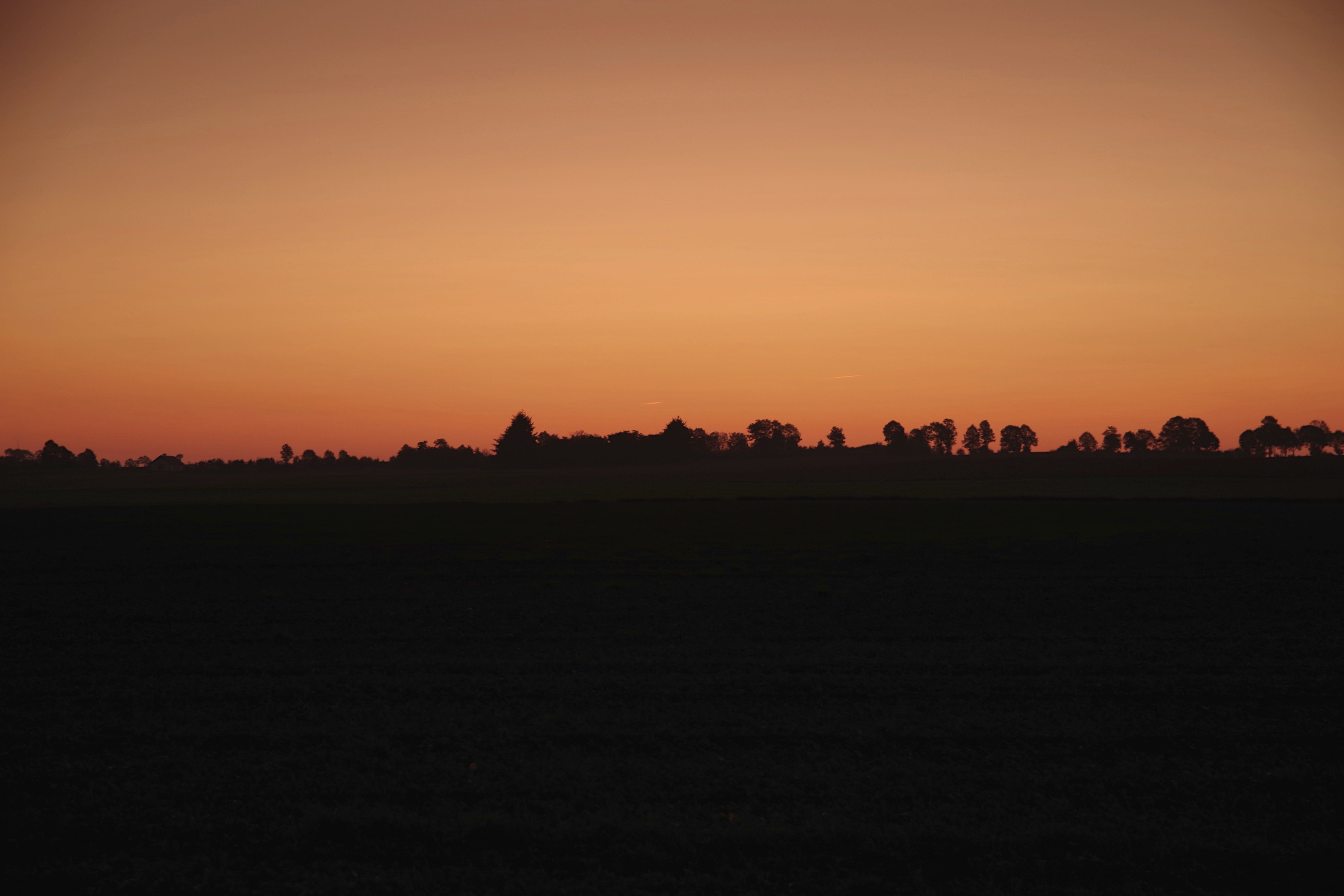colour, black, orange, plant, navy blue, tranquility, morning, tranquil scene, idyllic, the silence, field, beauty in nature, view, orange color, the silhouette, HD Wallpaper
