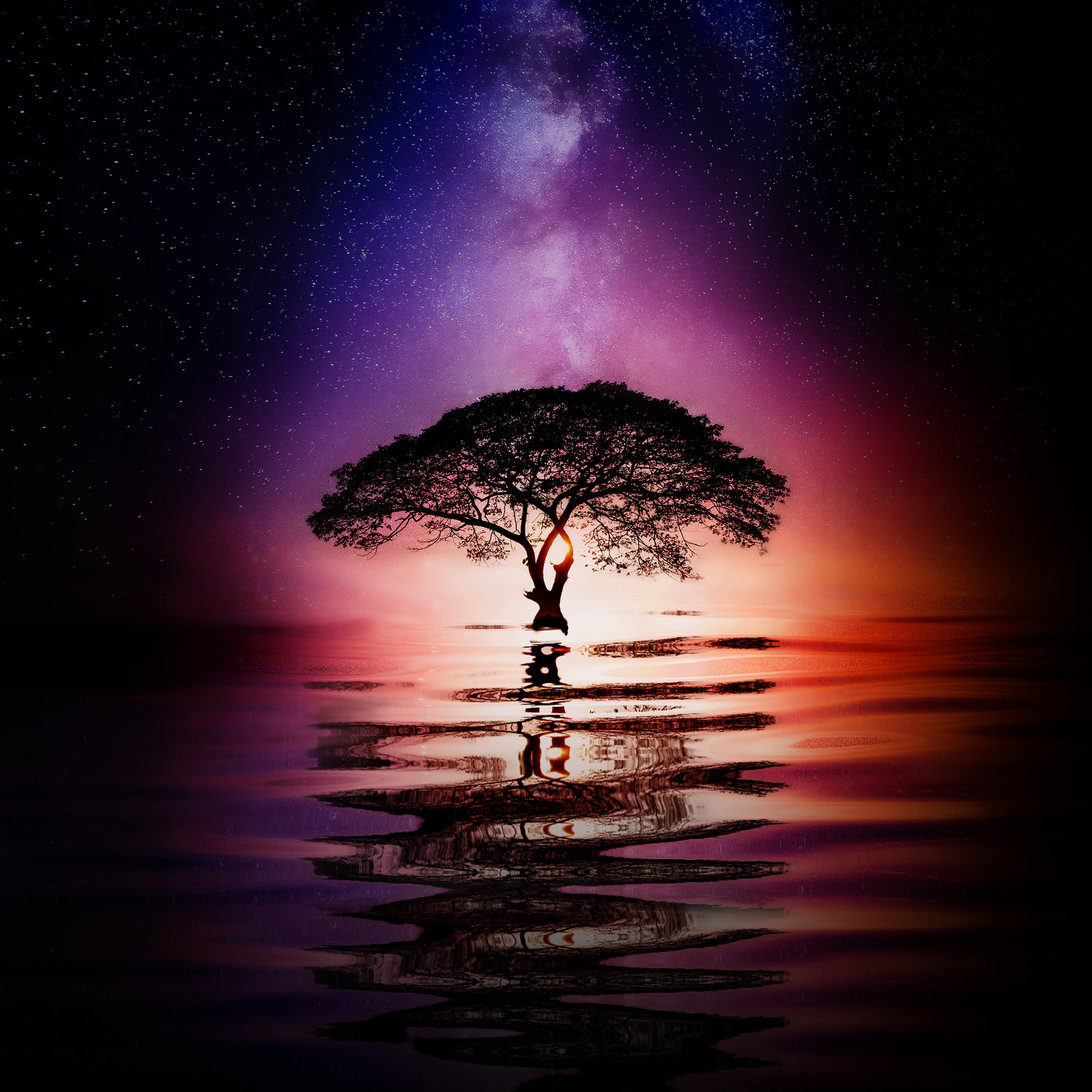 Reflection, Porsche Design, HD, 2K, Stock, Starry sky, Huawei Mate RS, Milky Way, Tree, Phone HD Wallpaper
