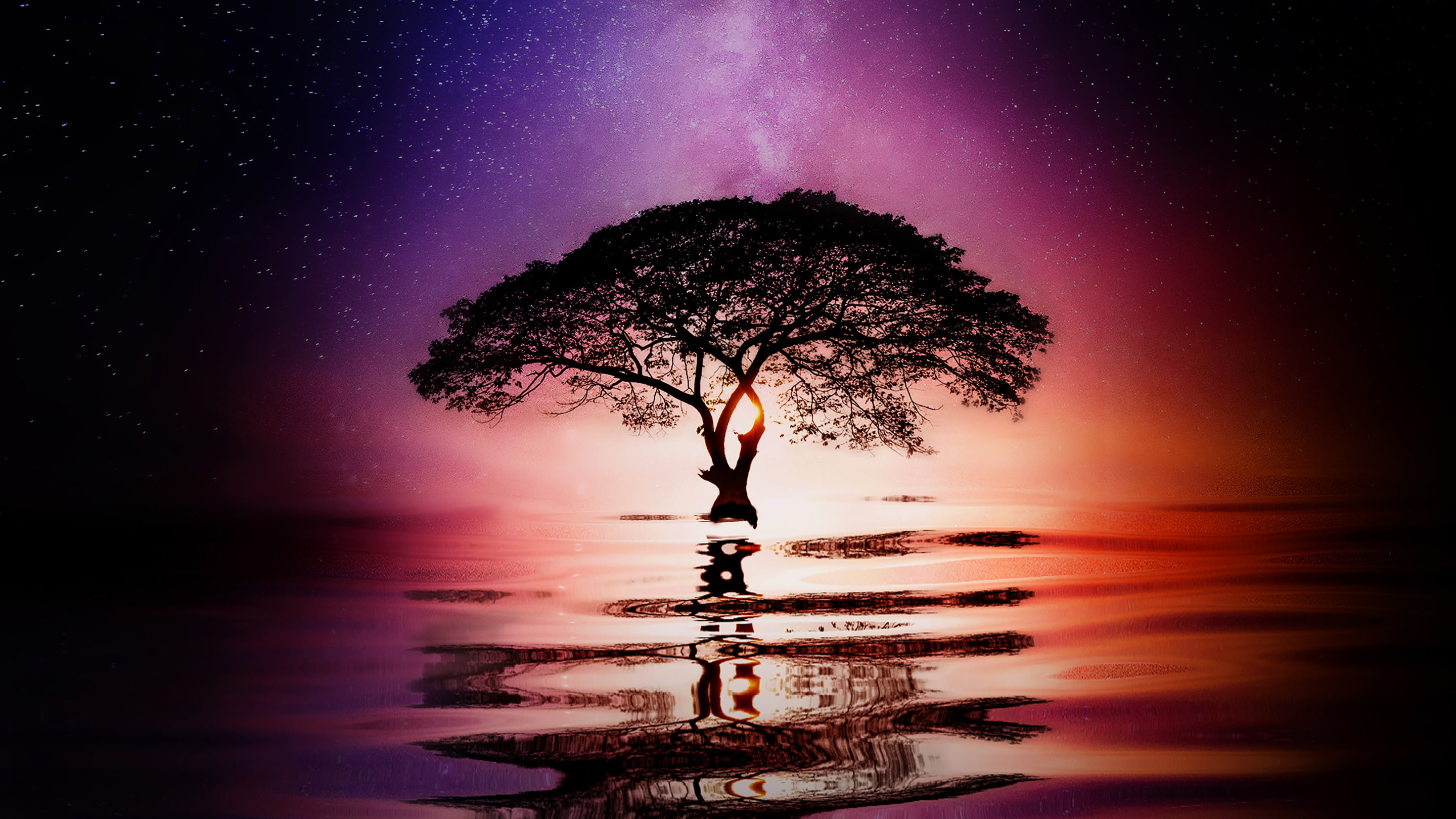 Design, rs, Stock, 2K, Huawei, Reflection, tree, Mate, Porsche, HD Wallpaper