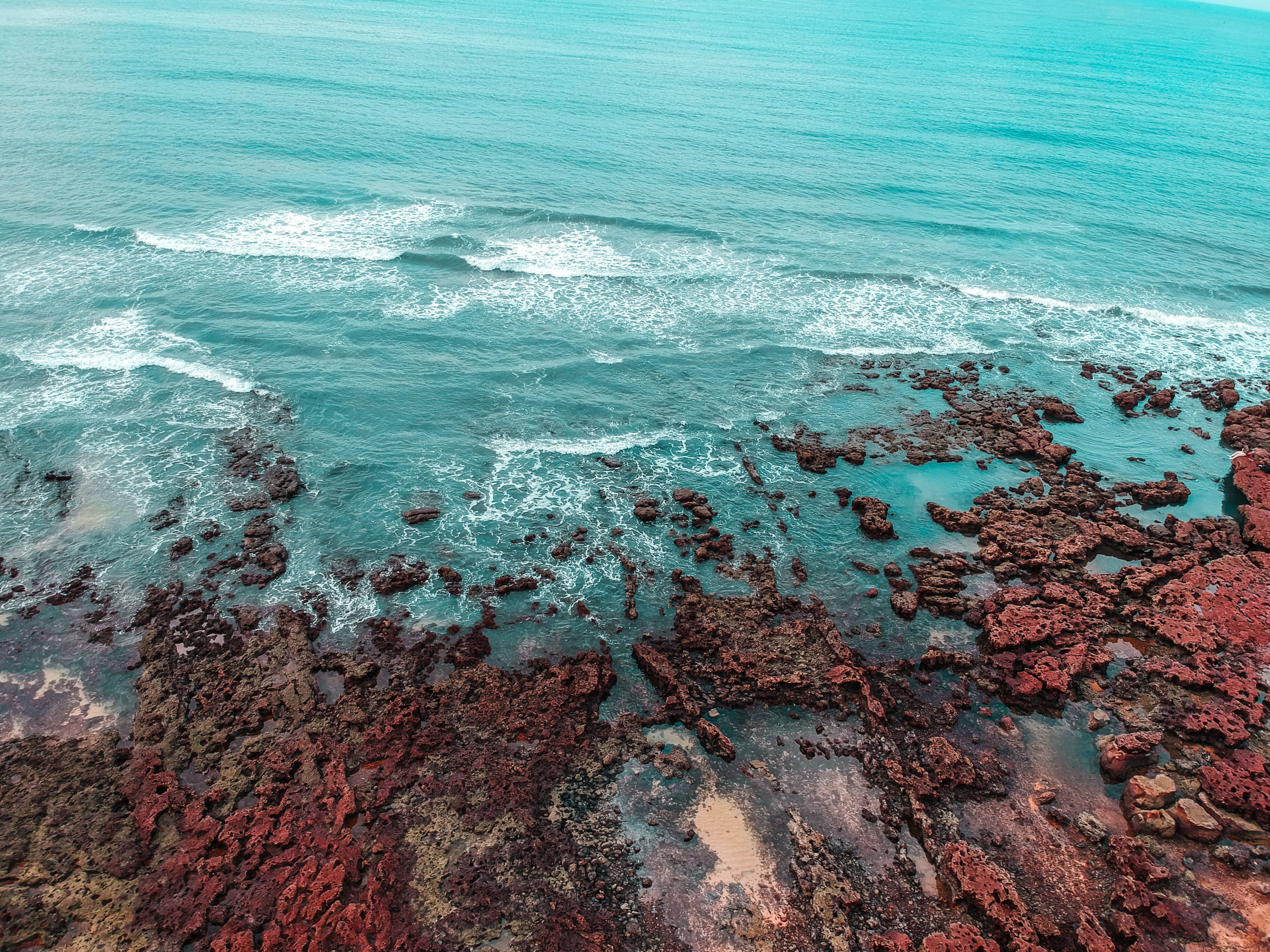 coast, mountain, water, wave, beauty in nature, tranquil scene, animal, shoreline, no people, ocean, sea life, reef, 2K, idyllic, nature, beira mar de fortaleza, HD Wallpaper