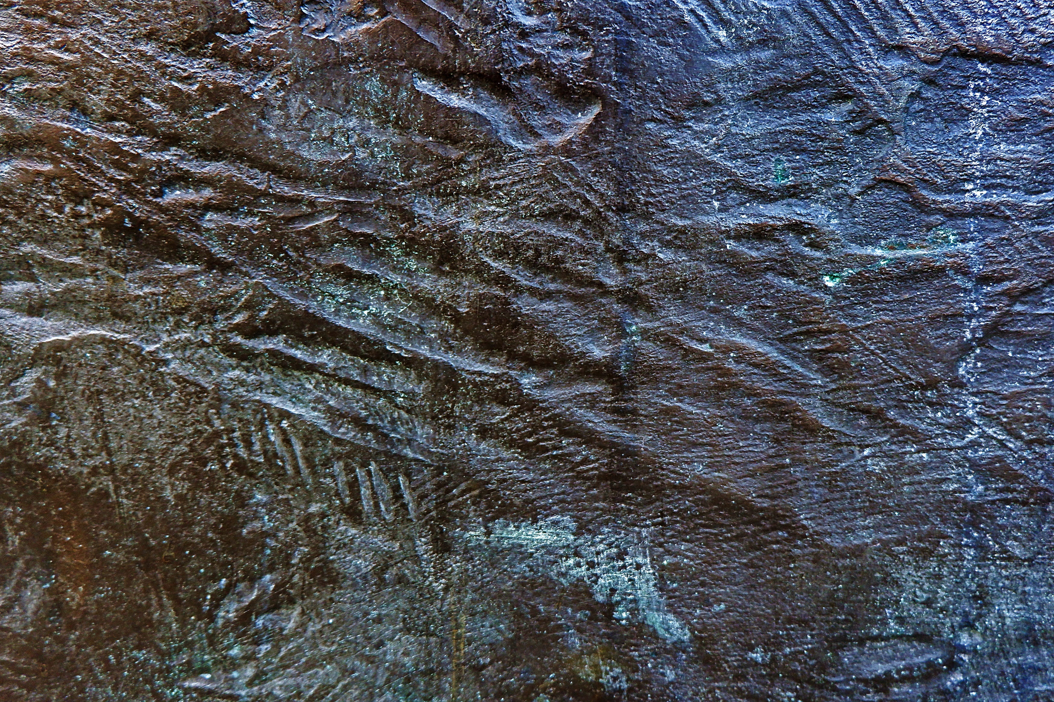 texture, tar, waterfowl, tree, 2K, puddle, growth, slate, full frame, outdoors, animal, rock, basin, no people, ripple, oil spill, pattern, wood - material, HD Wallpaper