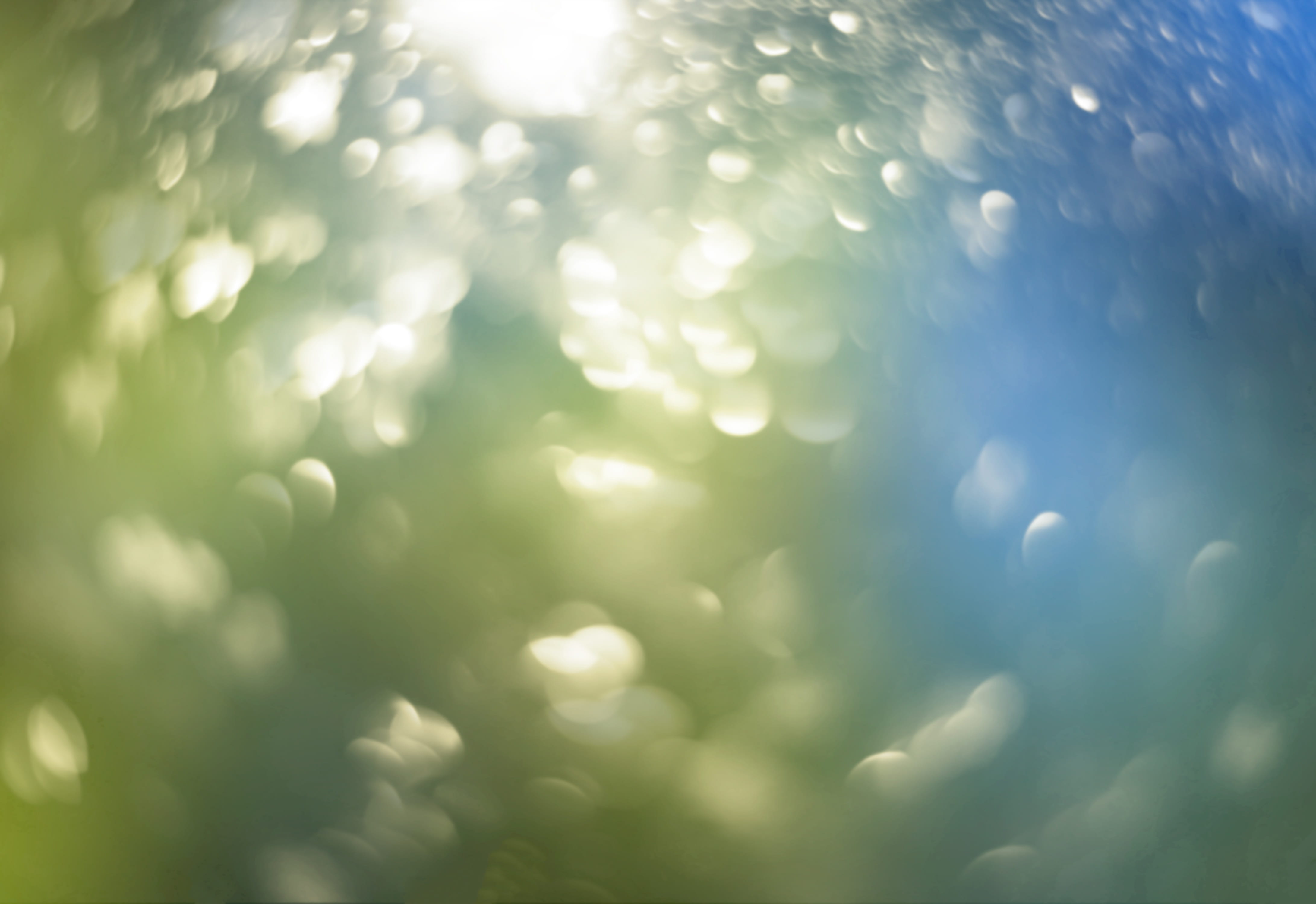 close-up, gradient, copy space, blue, 4K, beauty in nature, spectrum, vibrant, pastel, desktop, backgrounds, no people, freshness, pattern, full frame, HD Wallpaper