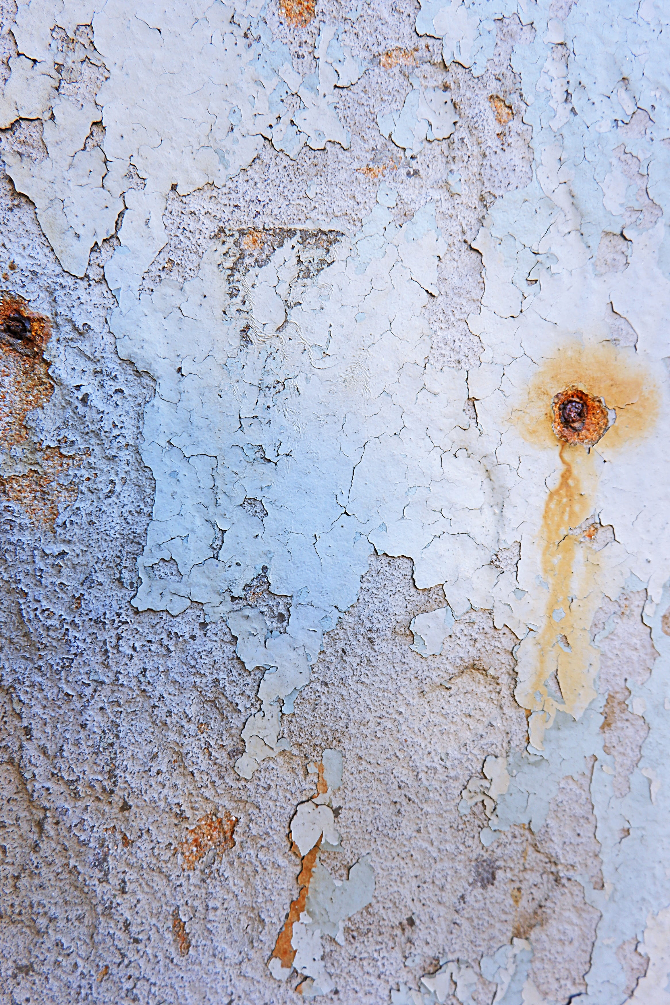 mud, wall, stain, rusty, damaged, plant, peeled, paper, built structure, rough, window, wall - building feature, textured, close-up, deterioration, pollen, Phone HD Wallpaper