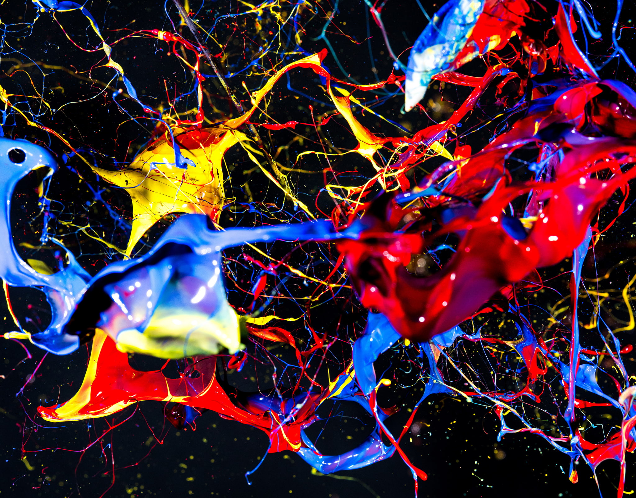 pattern, 1080P, colorful, design, black background, shape, splash, red, blue, illuminated, bubble, abstract, complexity, no people, creativity, HD Wallpaper