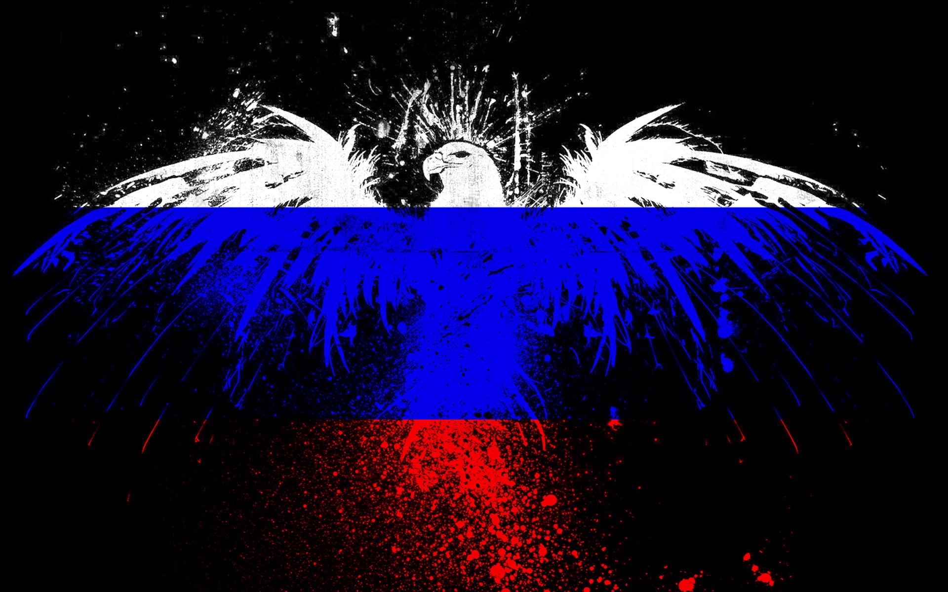 flowing, eagle, motion, night, water, illuminated, refreshment, spray, food and drink, 1080P, indoors, no people, backgrounds, red, paint, white, squirt, HD Wallpaper