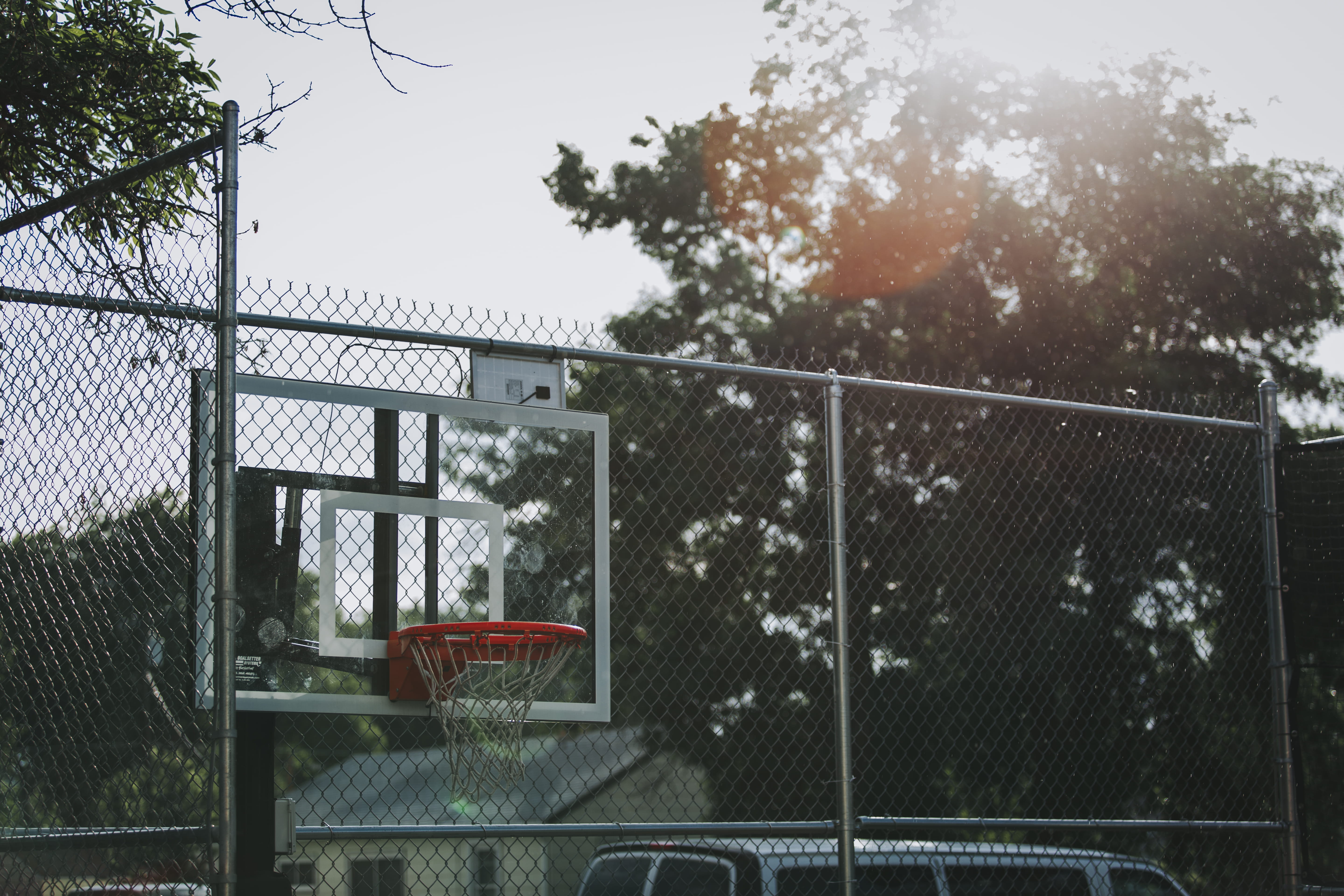 nature, united states, safety, basketball hoop, team, flora, growth, plant, court, barrier, sports, basketball, boundary, white, black, hoop, tree, architecture, HD Wallpaper