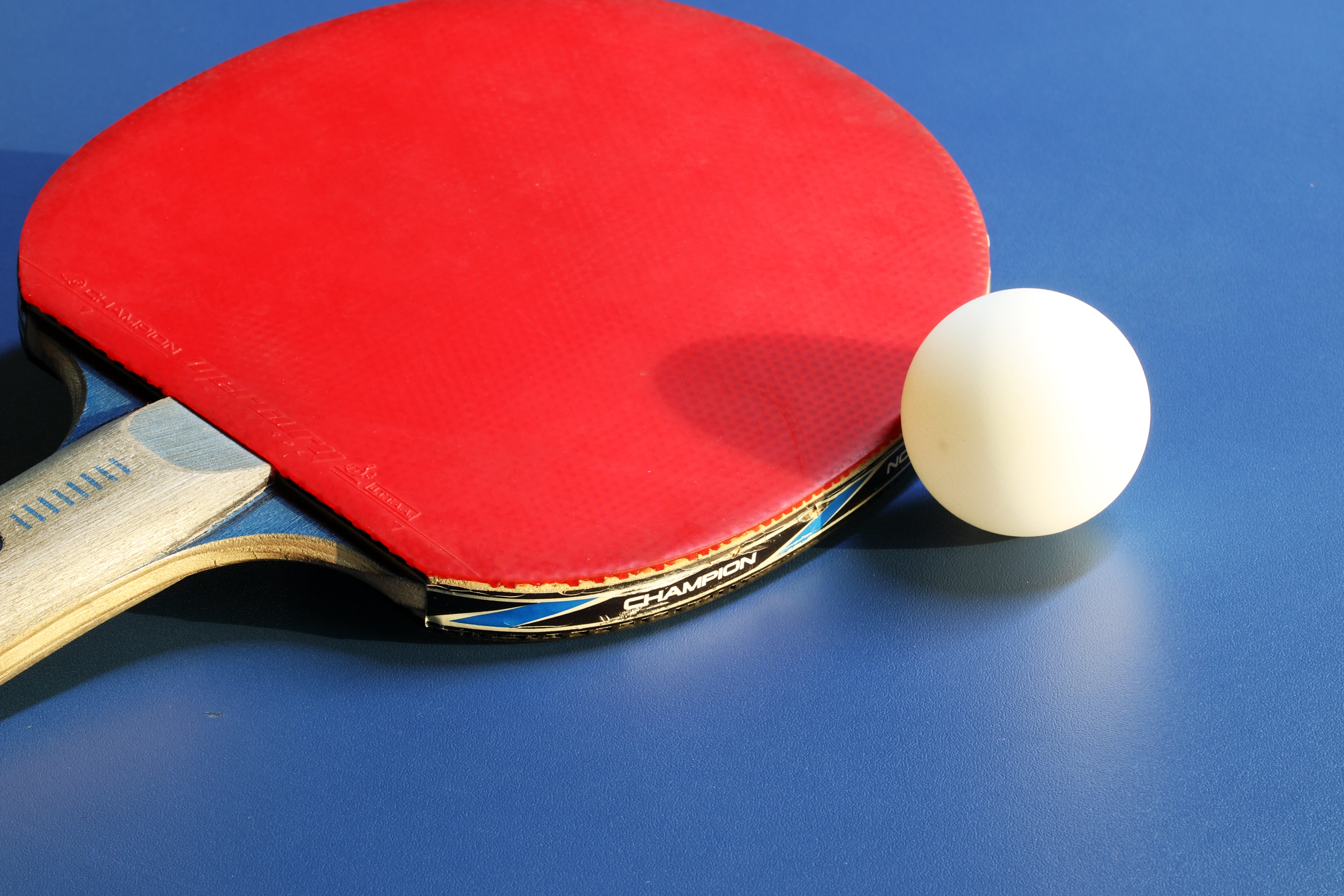 blue, pool table, activities, white room, ping-pong paddles, table, blue background, ping-pong ball, sphere, games, red, no people, table tennis, high angle view, HD Wallpaper