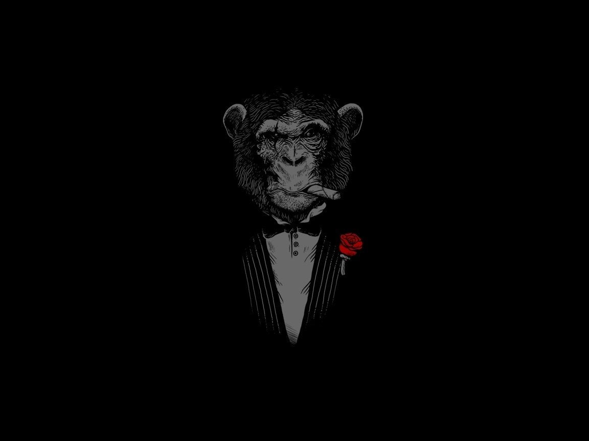 monkey, 480P, black, rose, HD Wallpaper
