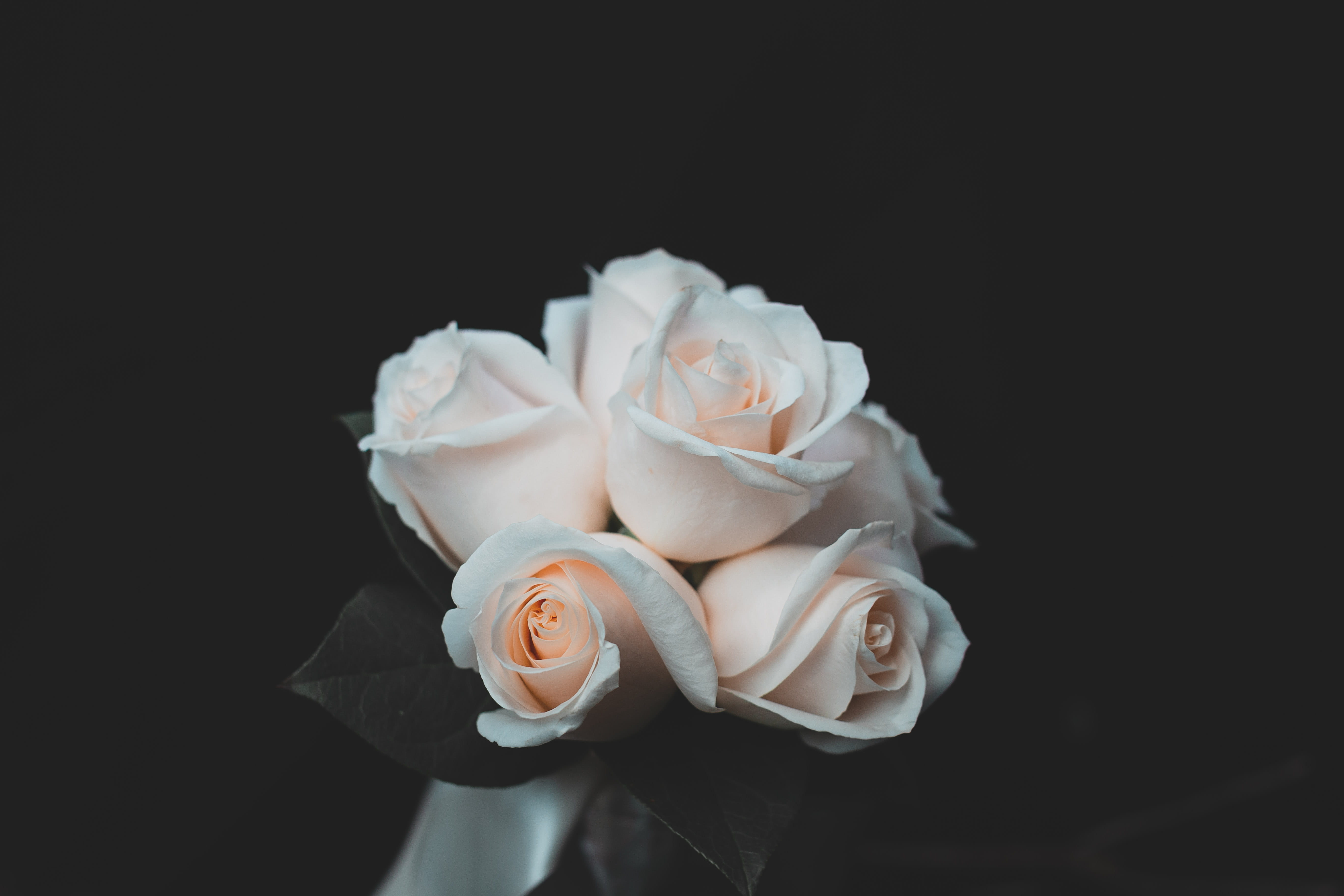 close-up, nature, freshness, white color, plant, blooming, fragility, flower bouquet, roses, blossom, flowering plant, bridal bouquet, flower head, colors, HD Wallpaper