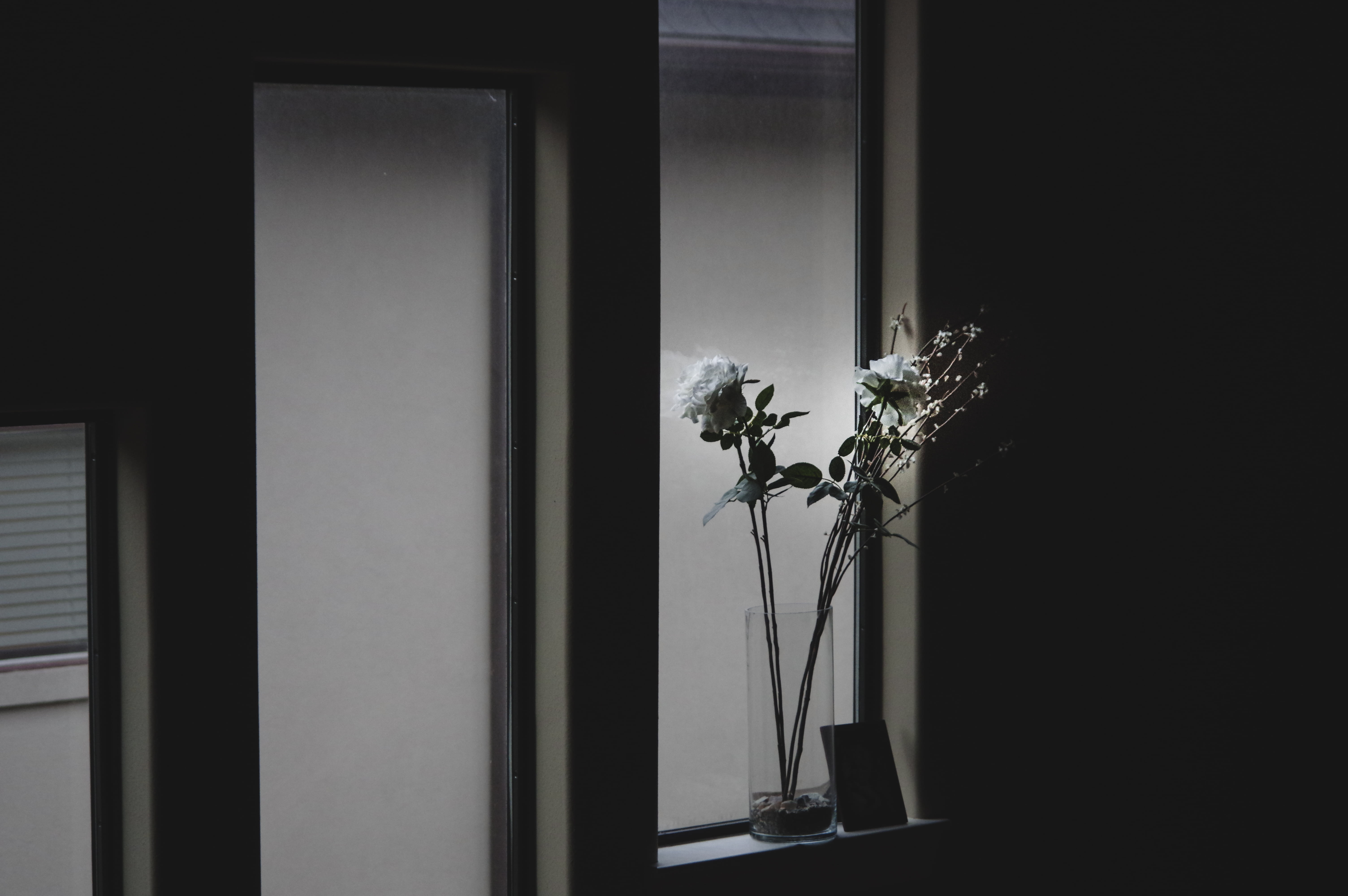 flowers, home interior, flower, portrait, day, door, family, indoors, dark, flower head, decoration, still life, entrance, house, flora, glass, domestic room, HD Wallpaper