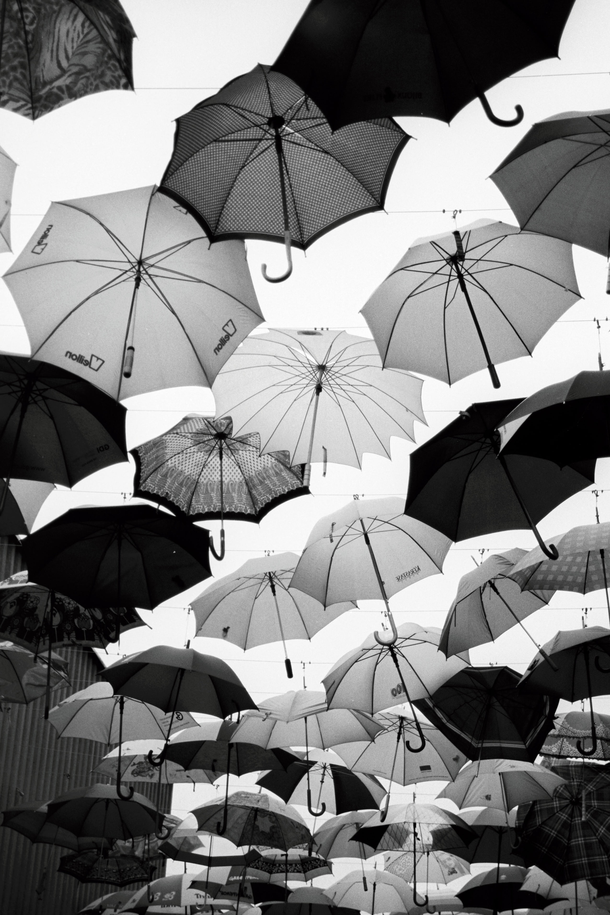 no people, rainy, outdoors, architecture, grayscale, protection, flying, photo, wet, nature, safety, sky, large group of objects, choice, hanging, group of objects, Phone HD Wallpaper