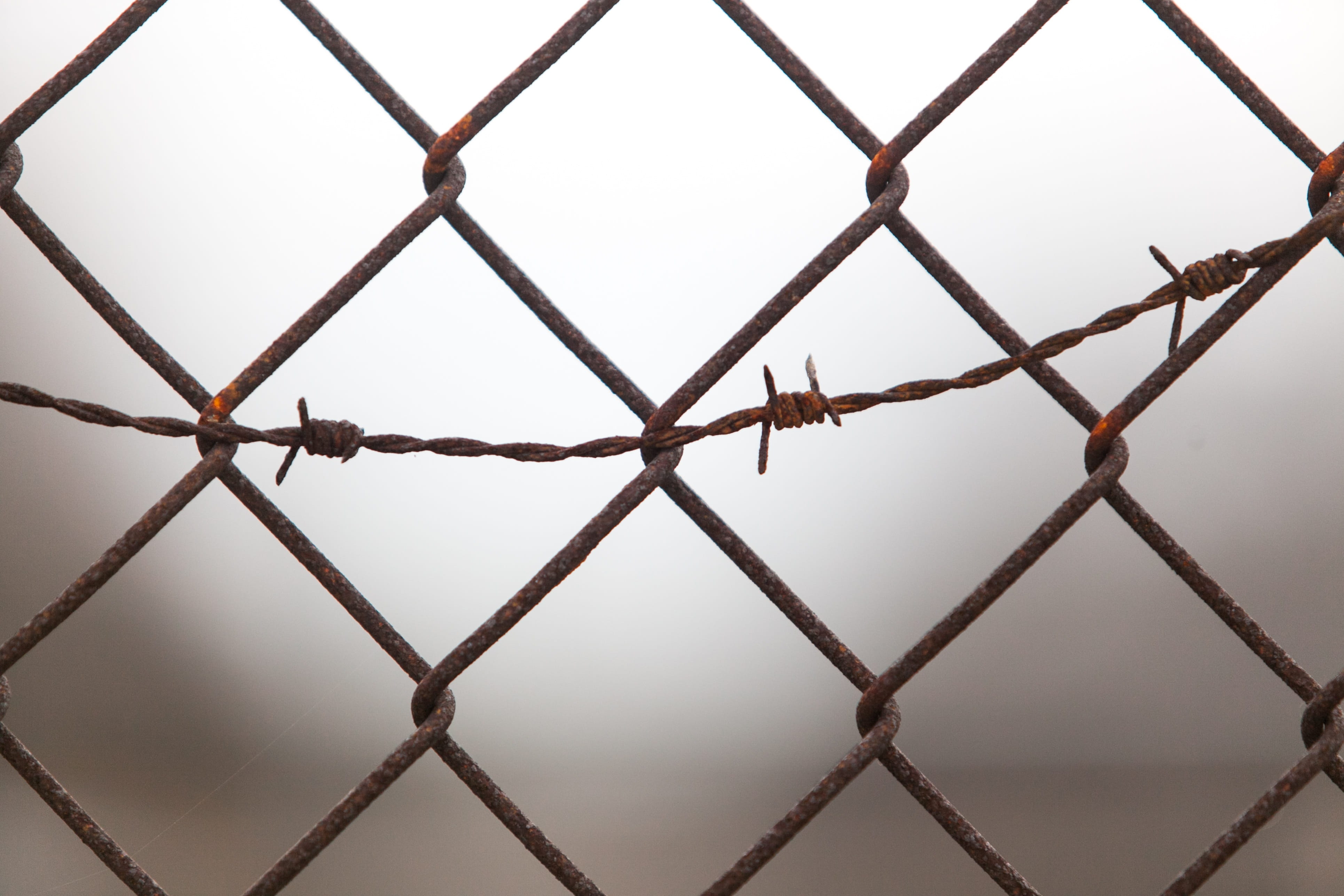 prison, boundary, security, backgrounds, metal, day, connection, pattern, focus on foreground, chain, barrier, chainlink, protection, link, nature, fence, HD Wallpaper