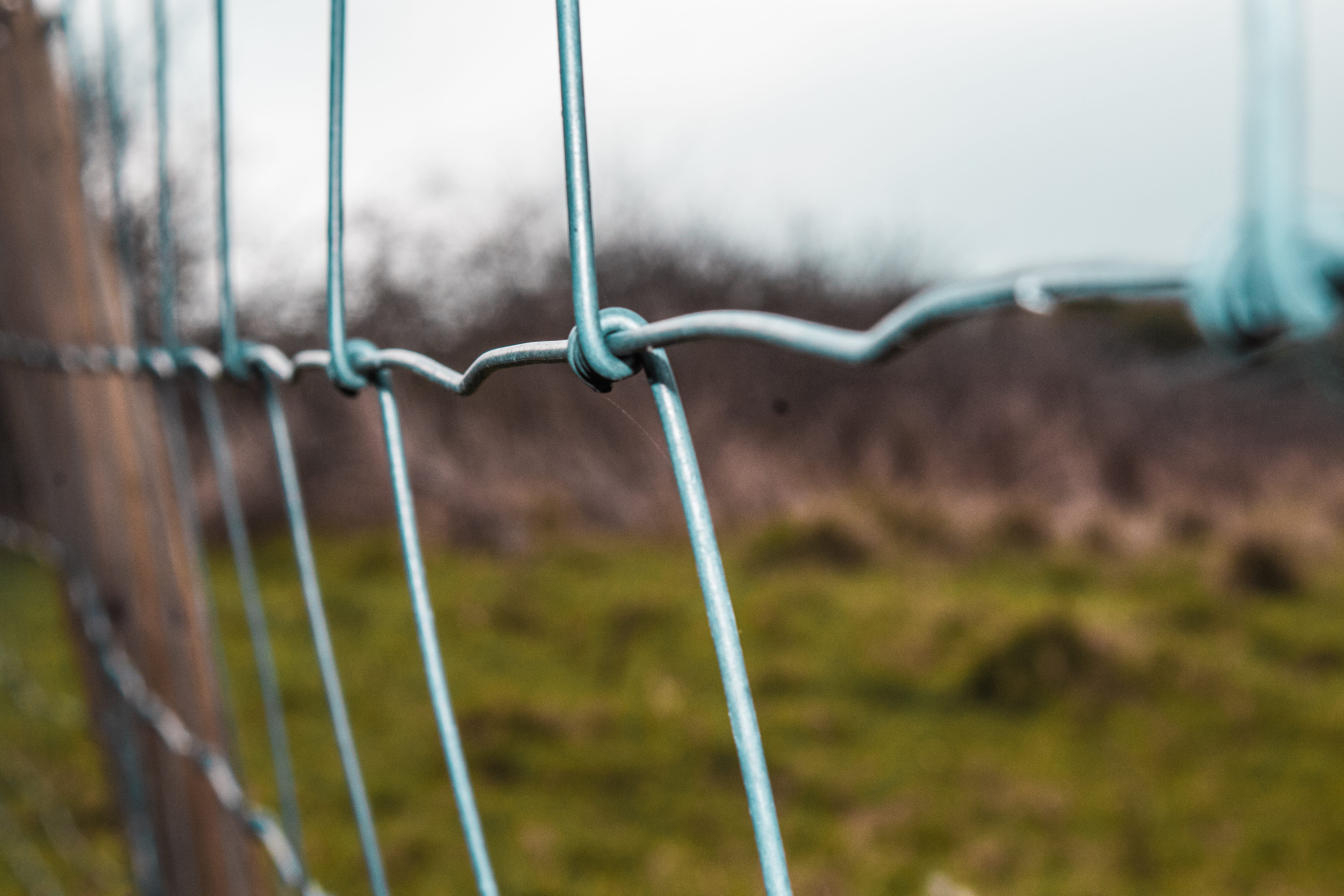 close-up, fence, boundary, chain fence, safety, wire mesh, gray, selective, outdoors, focus on foreground, colour, chain link fence, security, metal, wire, HD Wallpaper