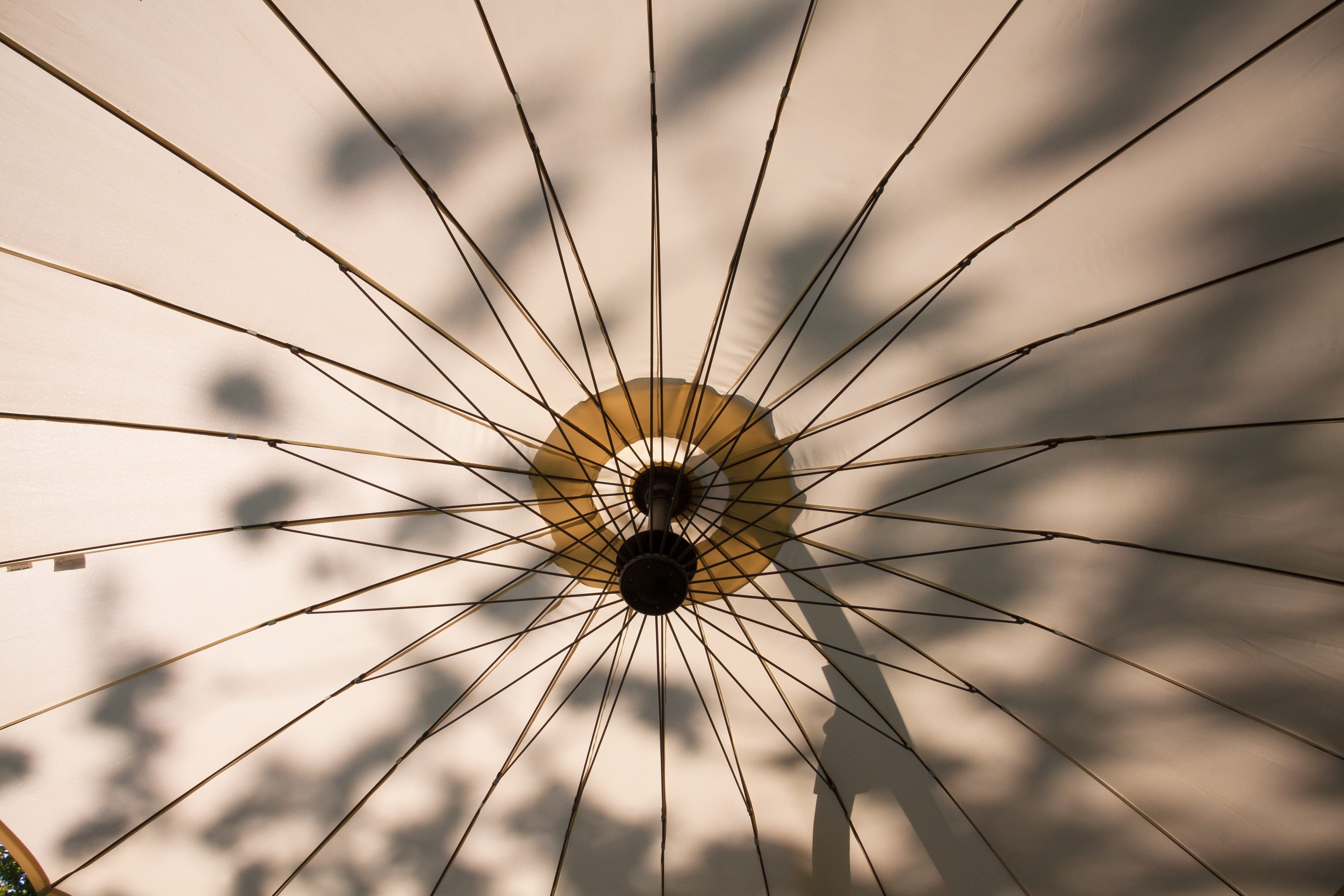 open, 4K, arts culture and entertainment, geometric shape, amusement park ride, leaves, sun, sunlight, architecture, shadow, circle, amusement park, sky, HD Wallpaper