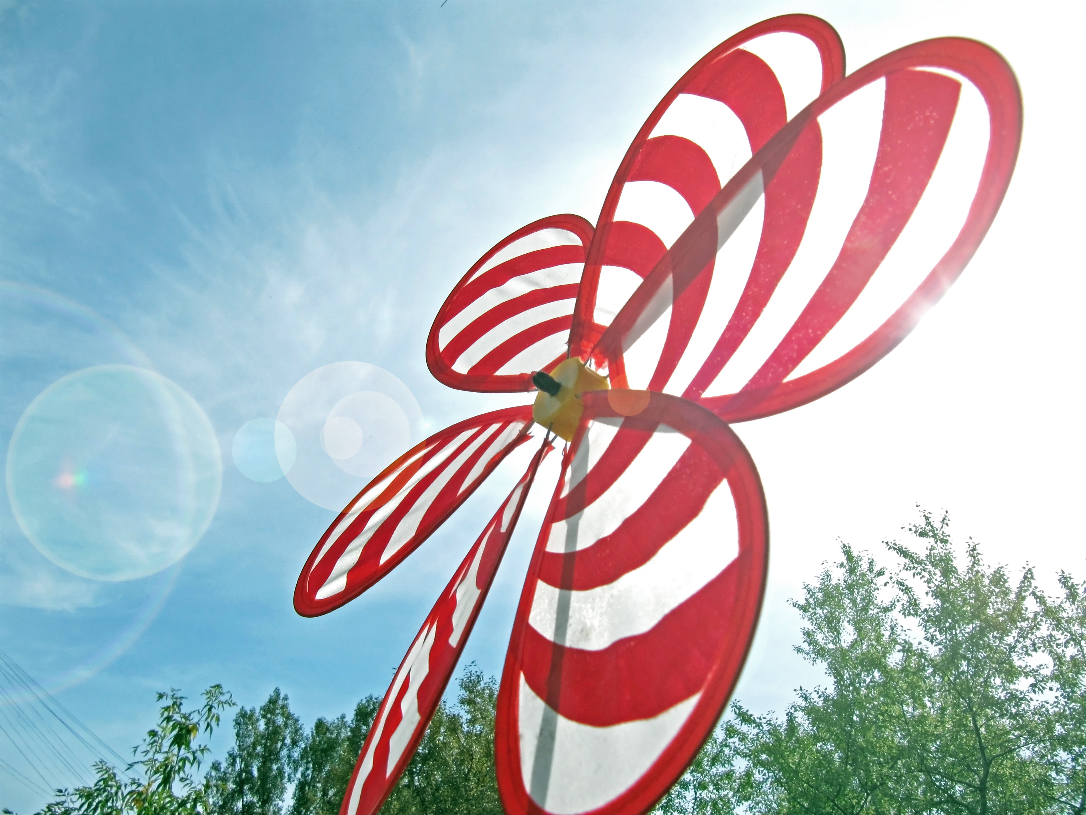 growth, spring, good fan, design, sun, close-up, rotation, wind driven, weather, effortless, sunshine, bright, close, simple, day, without people, lens flare, HD Wallpaper