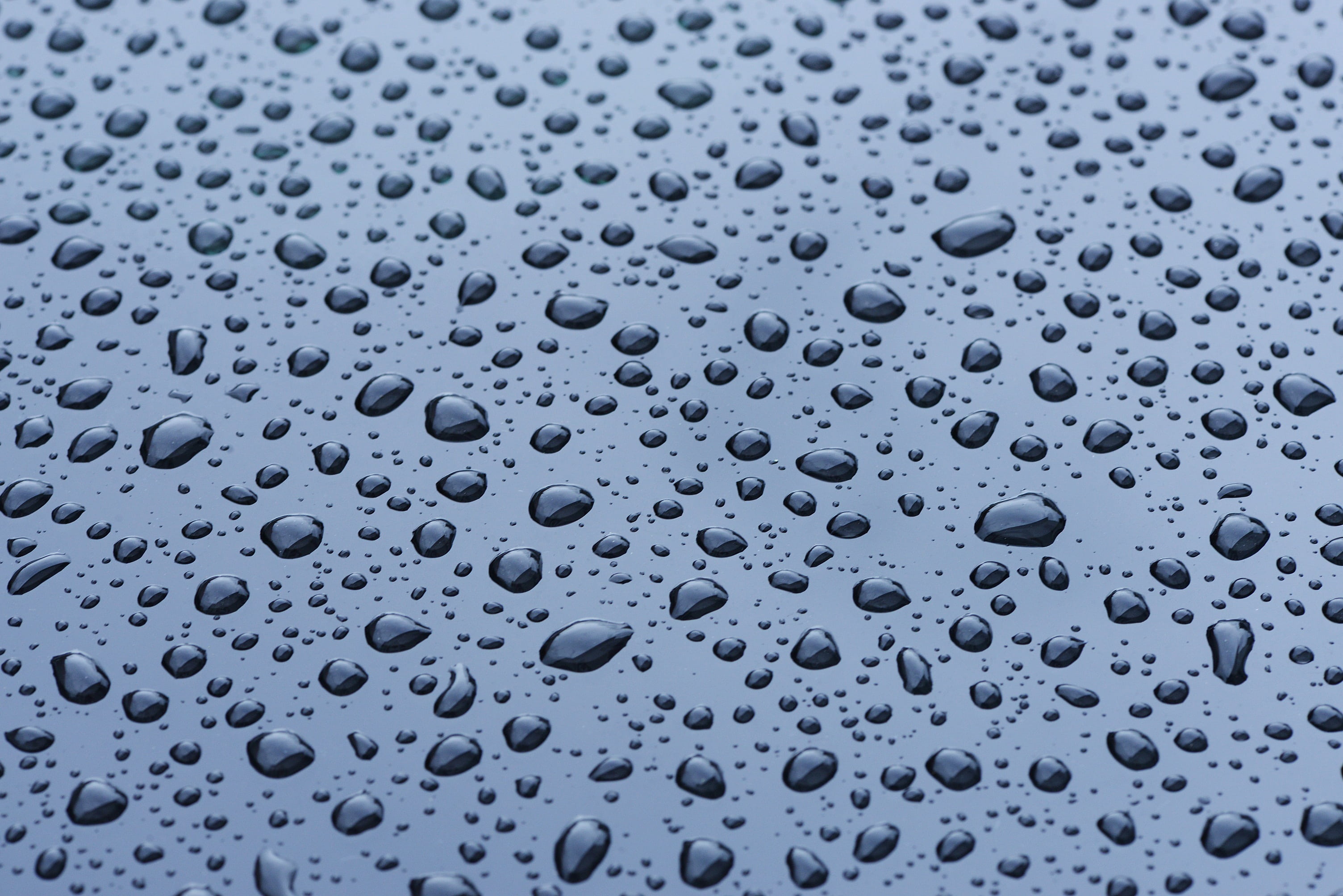 abstract, drop of water, drops, day, window, no people, transparent, textured effect, pattern, close-up, glass - material, photo, surface, rain, reflection, HD Wallpaper