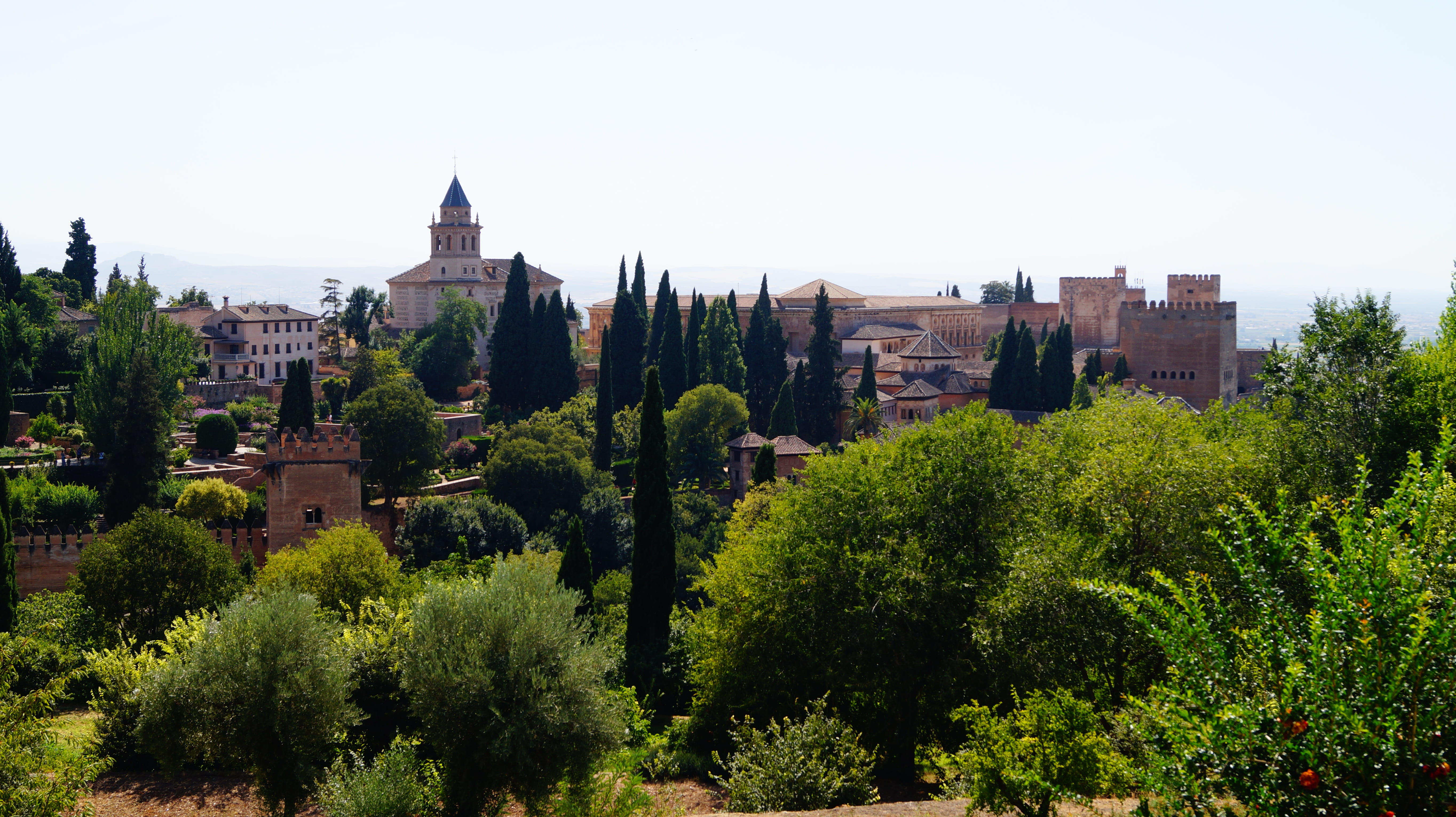 history, the past, alhambra, growth, building, andalusia, nature, palace, sunny day, spire, built structure, day, green color, place of worship, 5K, plant, HD Wallpaper