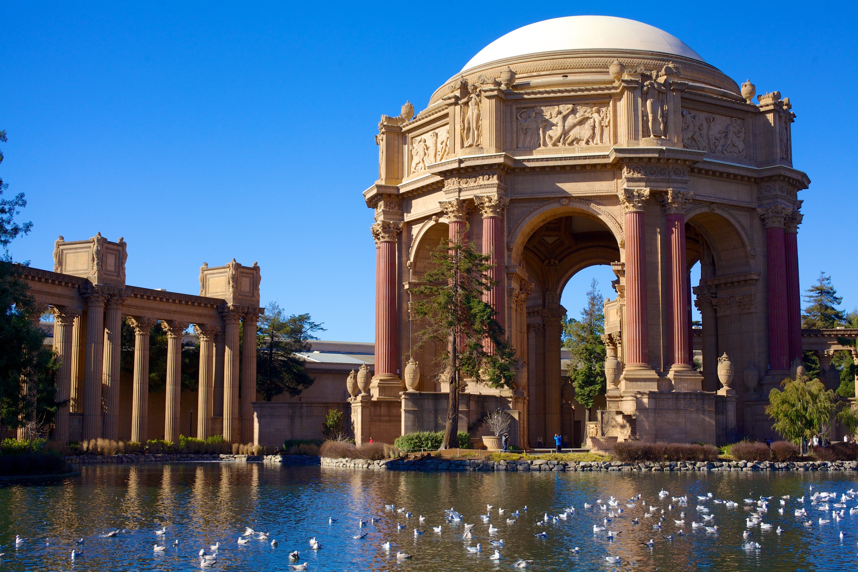 reflecting pool, famous Place, san francisco, presidio, california, urban Scene, built structure, exploratorium, the past, 2K, landmark, pond, travel, HD Wallpaper