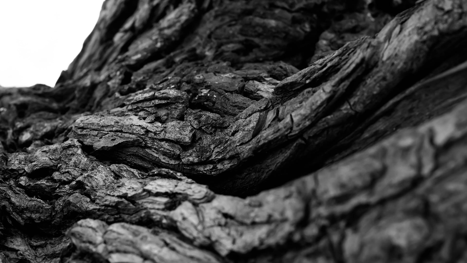 knot, rock, focus on foreground, rock - object, tree, line, close-up, day, measure, rough, selective focus, trunk, wood - material, fastener, no people, HD Wallpaper