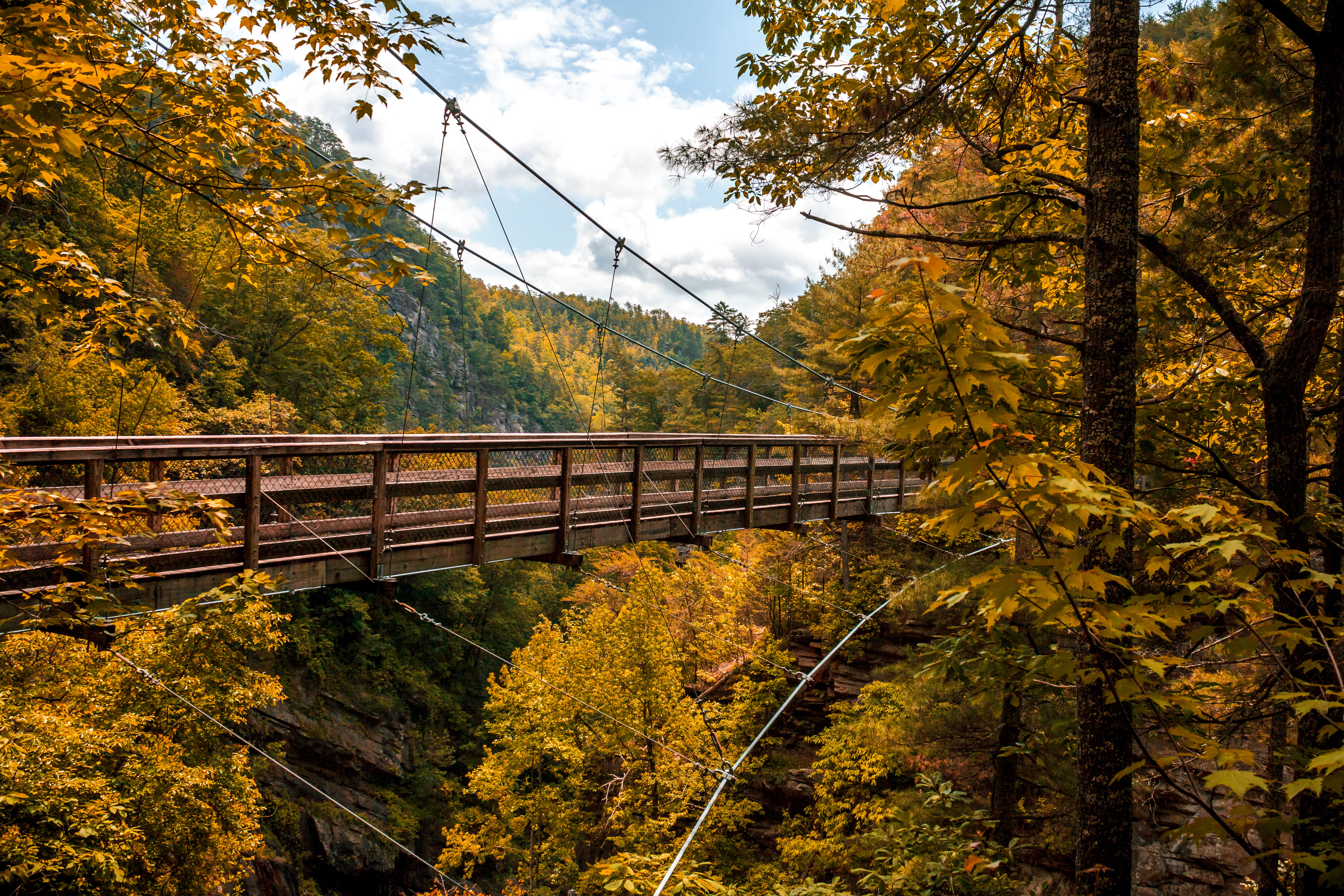 green, growth, tranquil scene, tree, cloud - sky, georgia, autumn collection, tallulah falls, autumn, nature, no people, land, canyon, plant, hiking, tranquility, HD Wallpaper