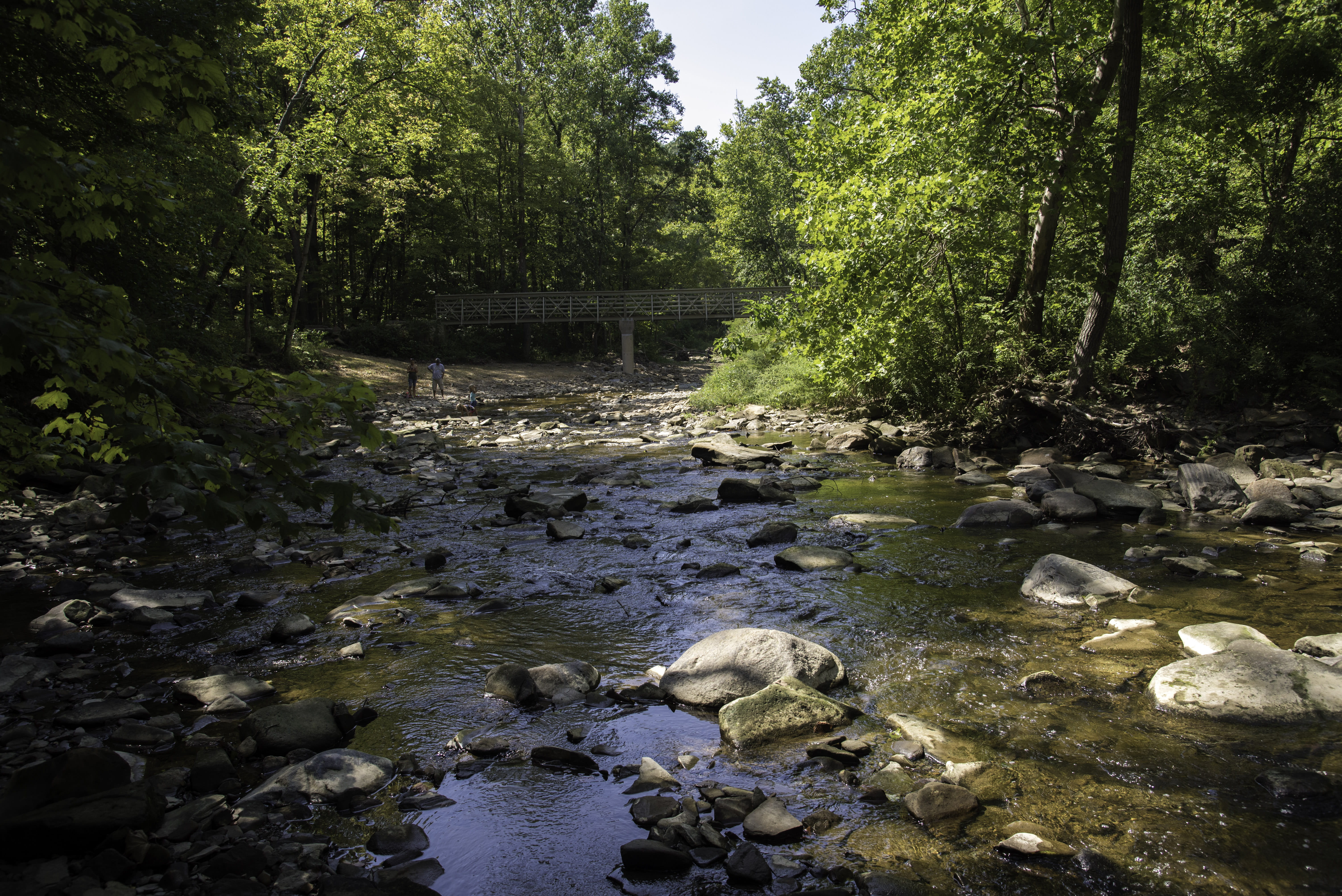 creek, reflection, public domain, gorge trail, summer, United States, water, growth, stream, beauty in nature, river, rock - Object, woodland, stream - flowing water, HD Wallpaper