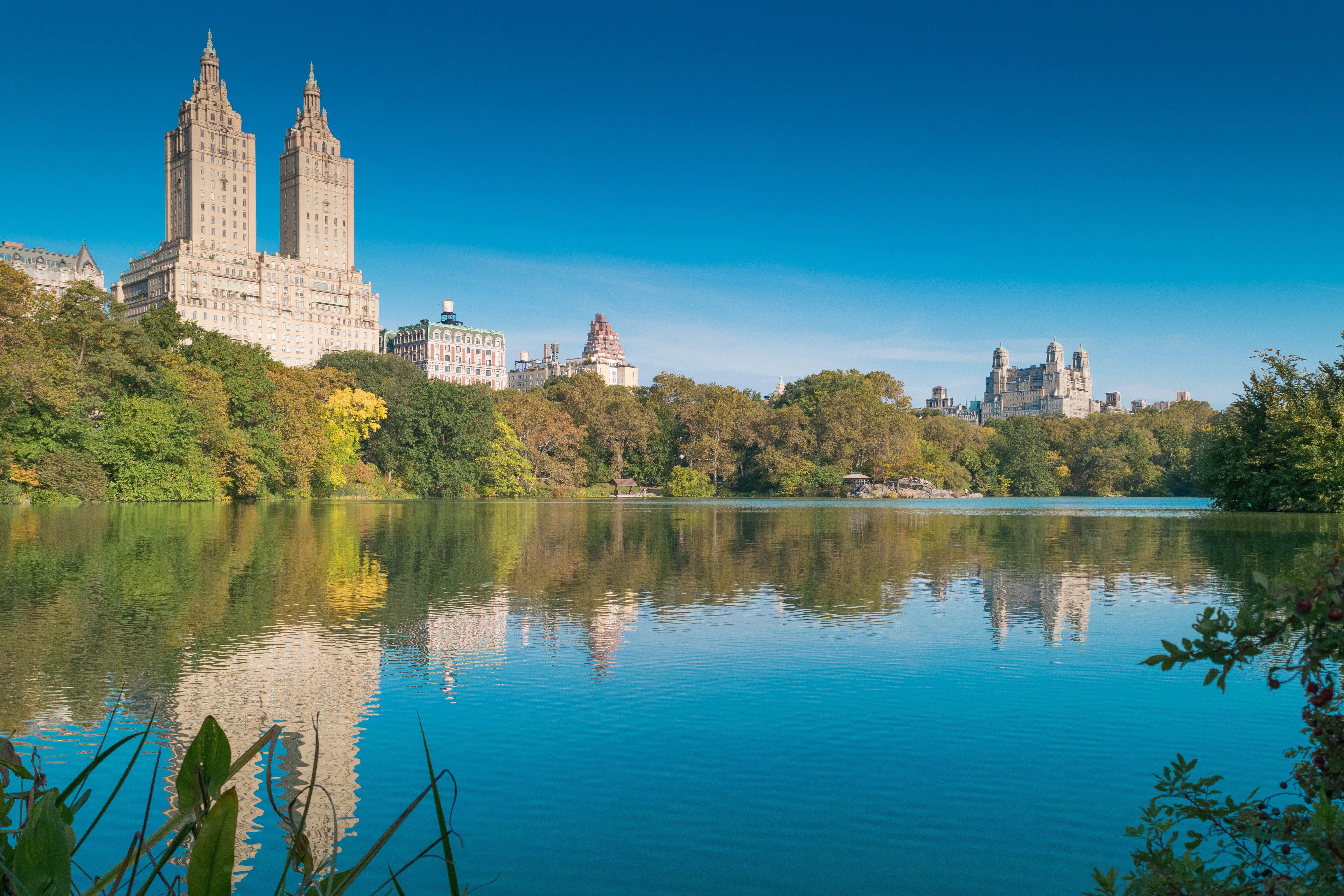 building, built structure, tress, place of worship, reflection, no people, nature, central Park, travel destinations, spirituality, belief, body, near, HD Wallpaper