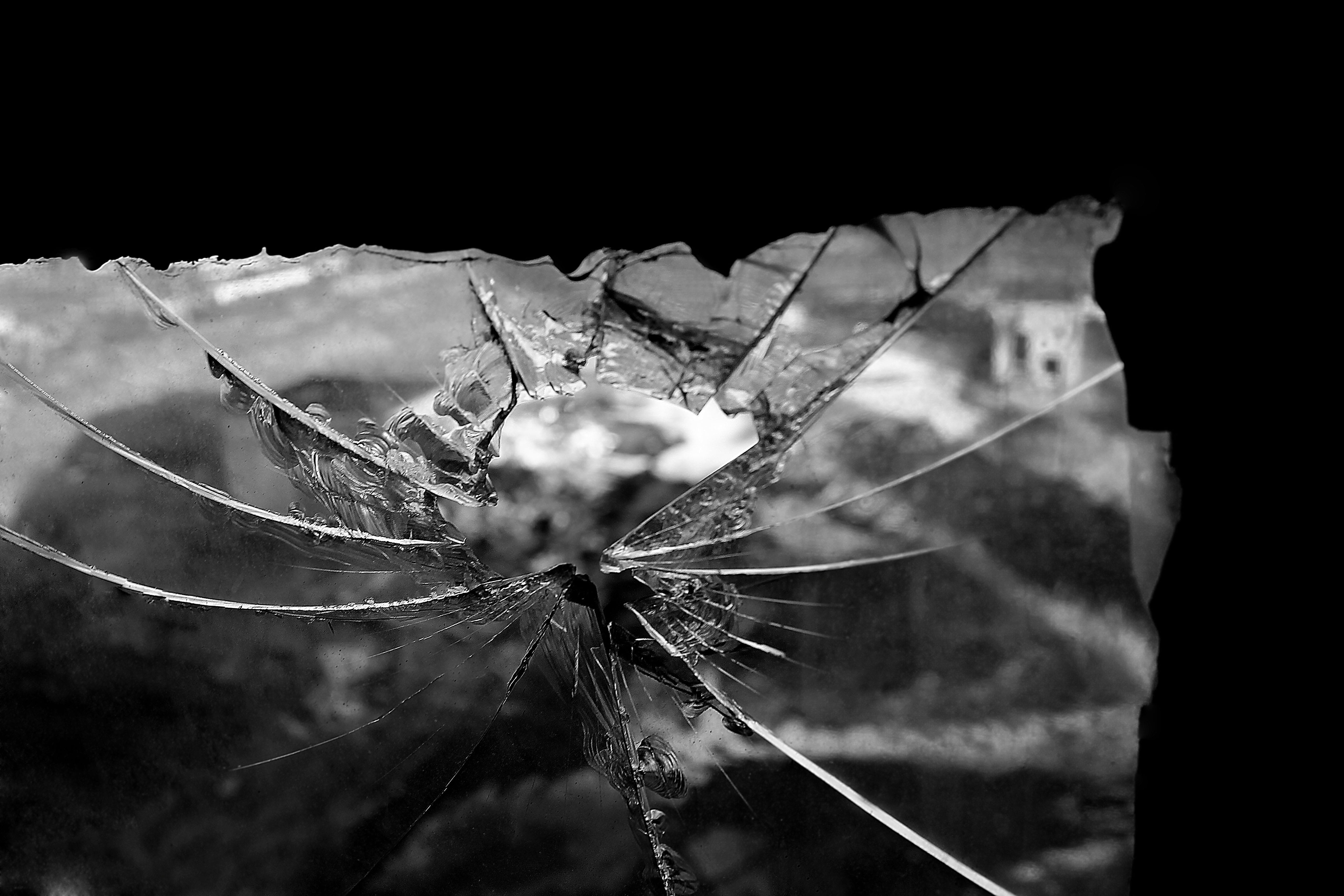 wet, close-up, fragility, czech budejovice, drop, selective focus, broken, vulnerability, picture, plant, spider web, beauty in nature, glass, nature, black and white photography, HD Wallpaper