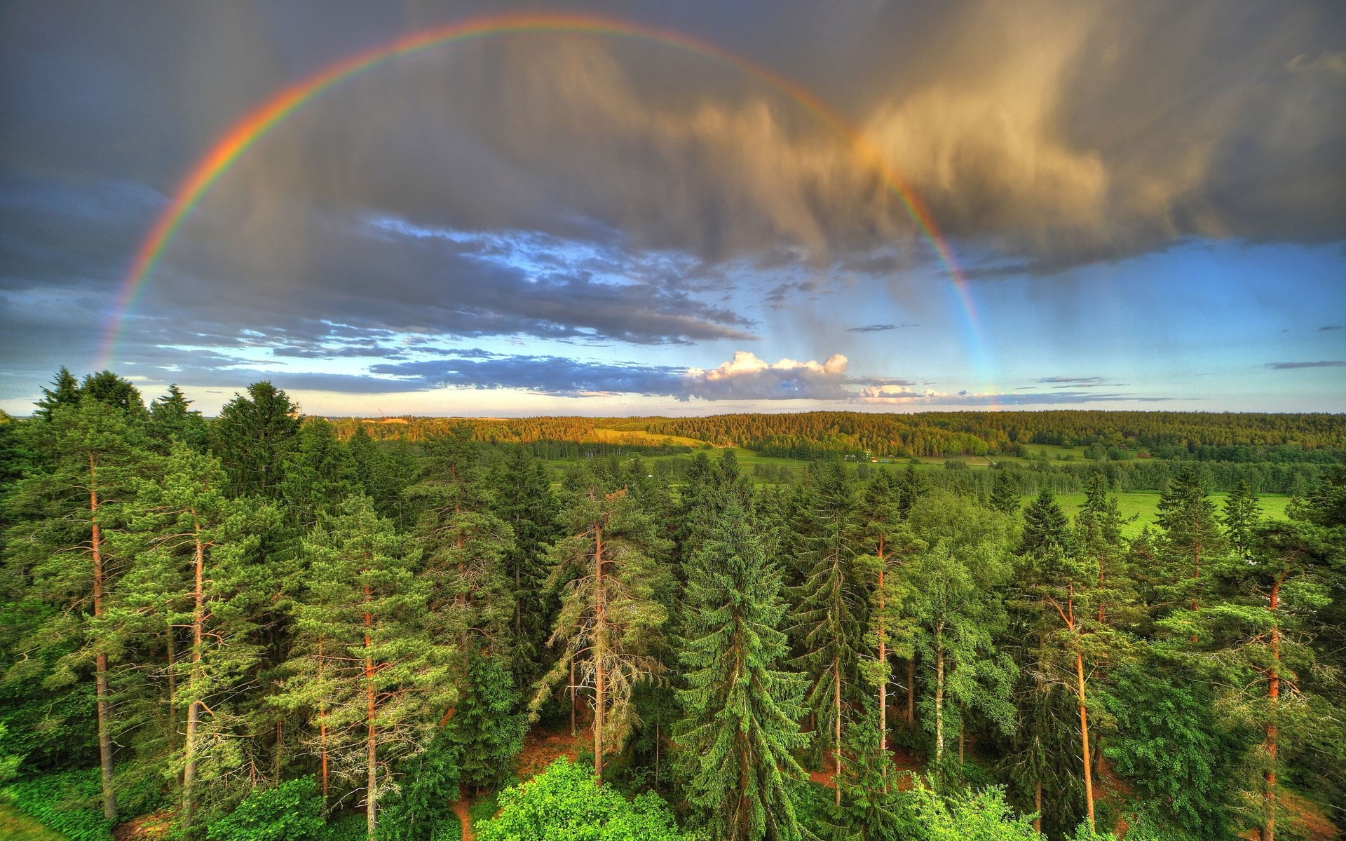beautiful nature  for desktop 1920x1200, 1080P, HD Wallpaper