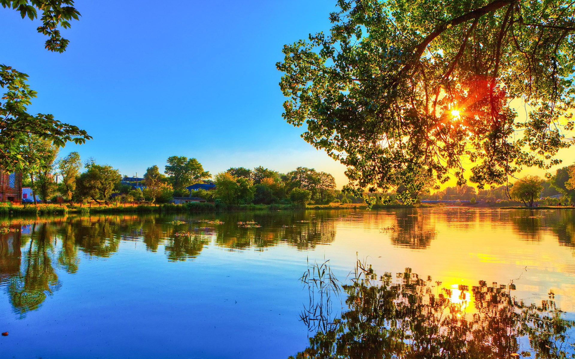 beautiful nature  desktop  1920x1200, 1080P, HD Wallpaper