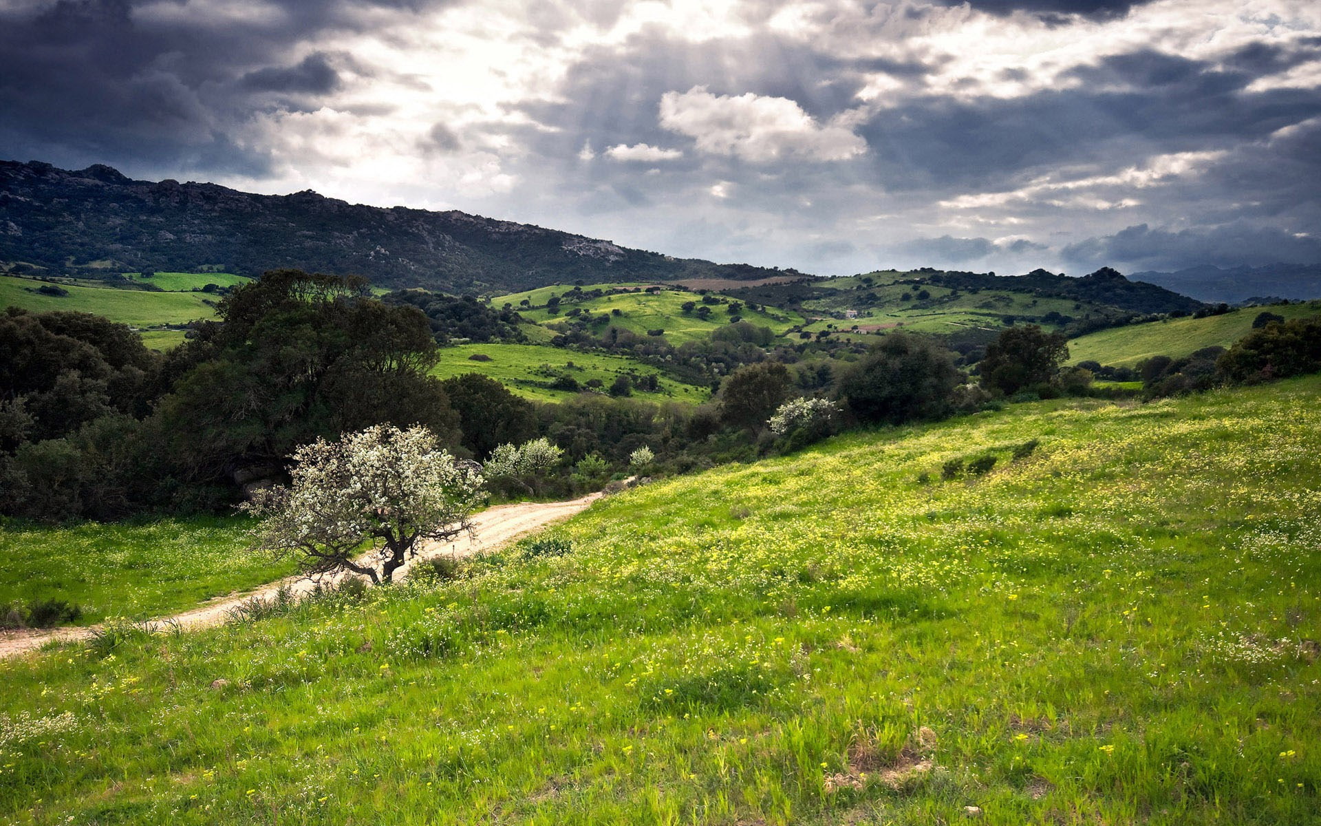 cloud - sky, sky, non-urban scene, environment, mountain, trail, landscape, no people, rolling landscape, beautiful nature hd  for desktop  download 1920x1200, HD Wallpaper