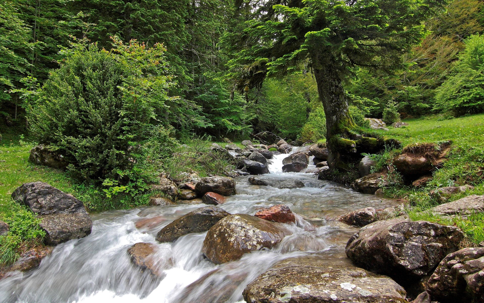 beautiful nature  desktop  1920x1200, 1080P, HD Wallpaper