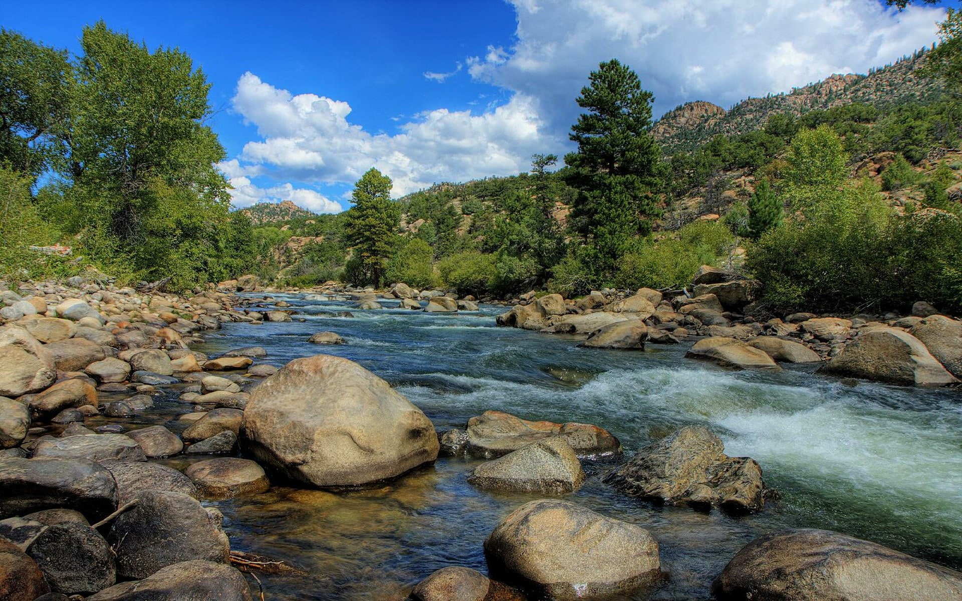 beauty in nature, tree, non-urban scene, flowing, tranquility, rock - object, cloud - sky, no people, scenics - nature, rock, 1080P, tranquil scene, day, HD Wallpaper